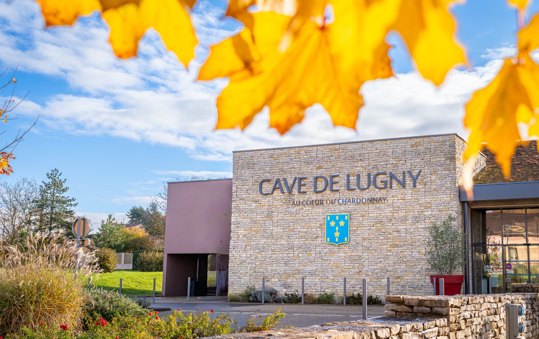 CAVE DE LUGNY