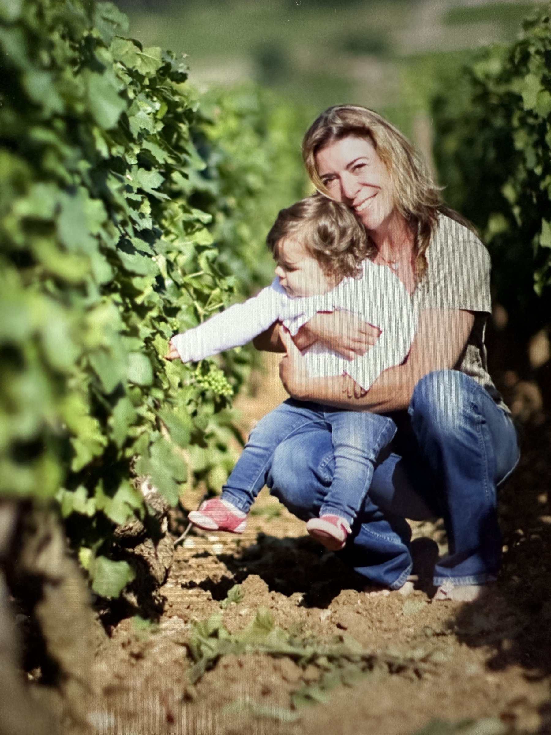 DOMAINE MARC ROY