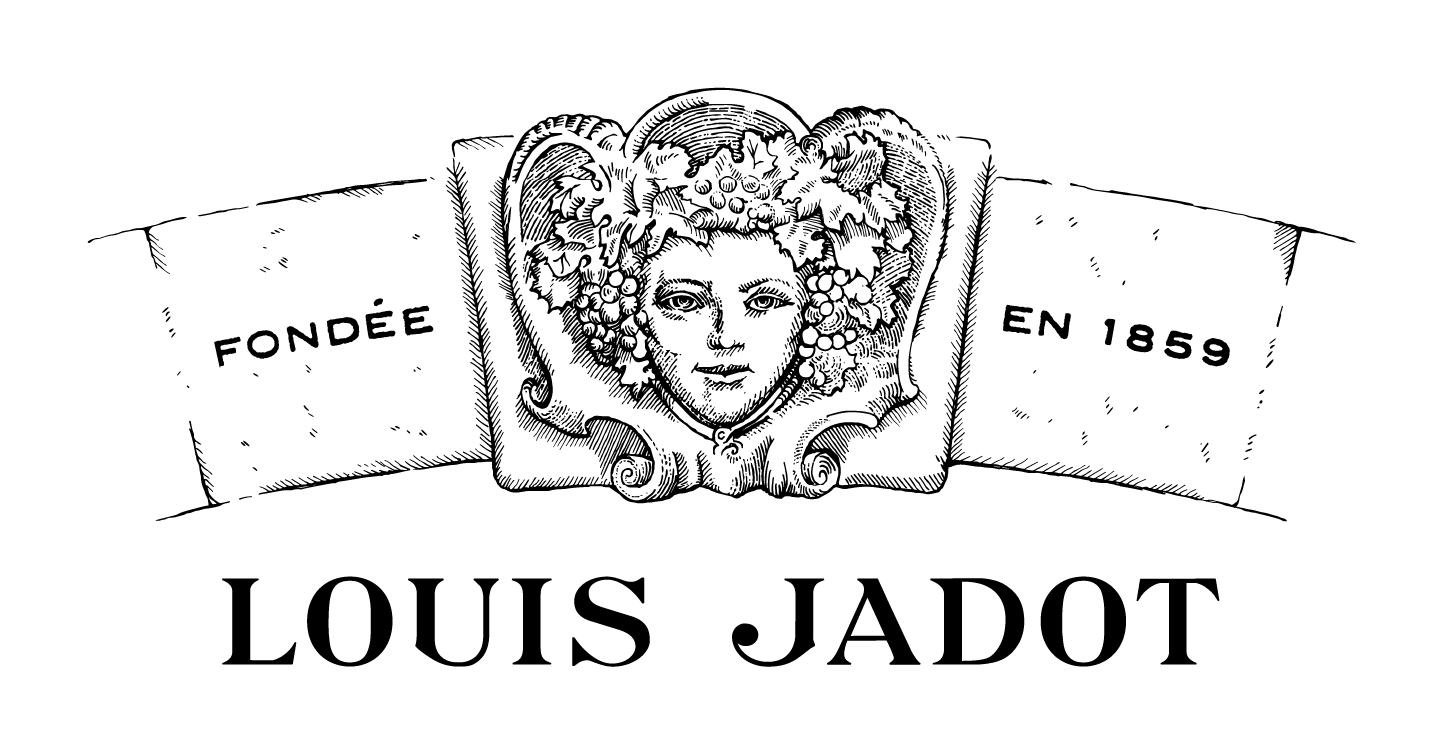 MAISON LOUIS JADOT