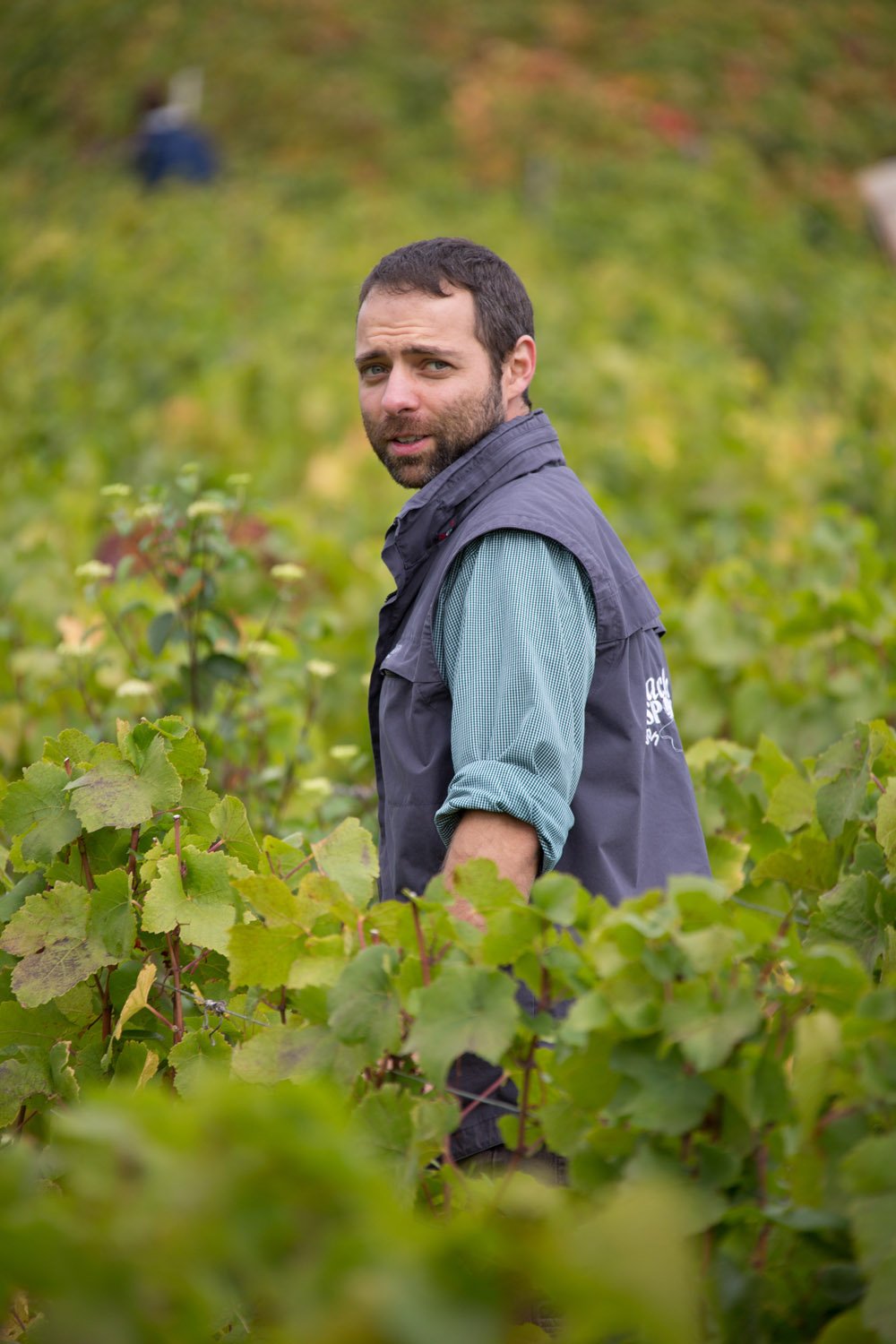 DOMAINE GAVIGNET PÈRE ET FILS