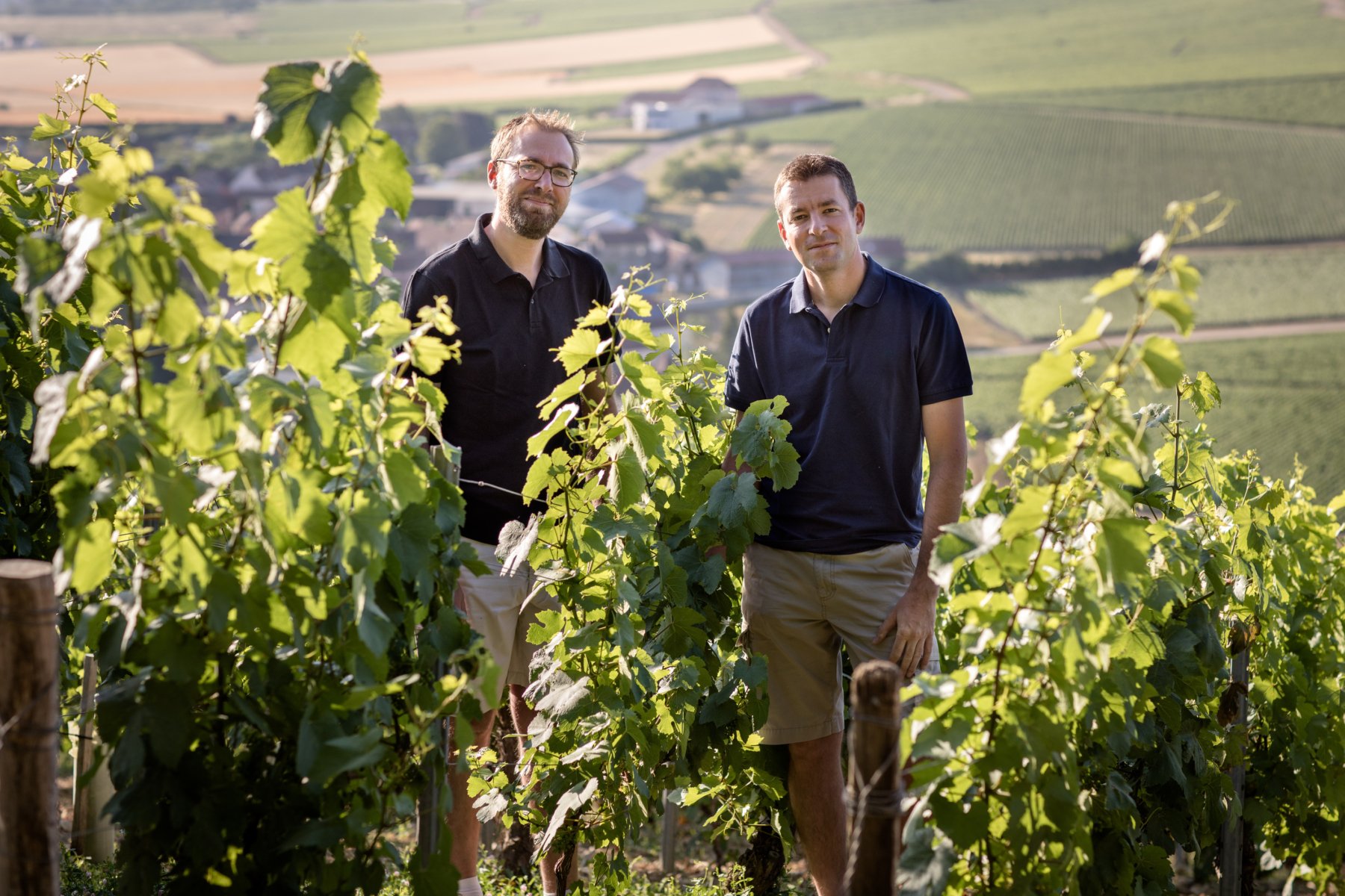 DOMAINE DANIEL DAMPT ET JEAN DEFAIX