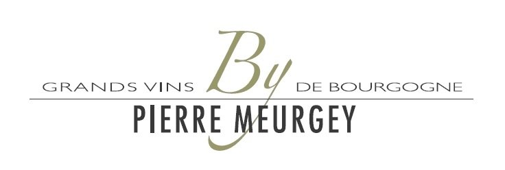 PIERRE MEURGEY