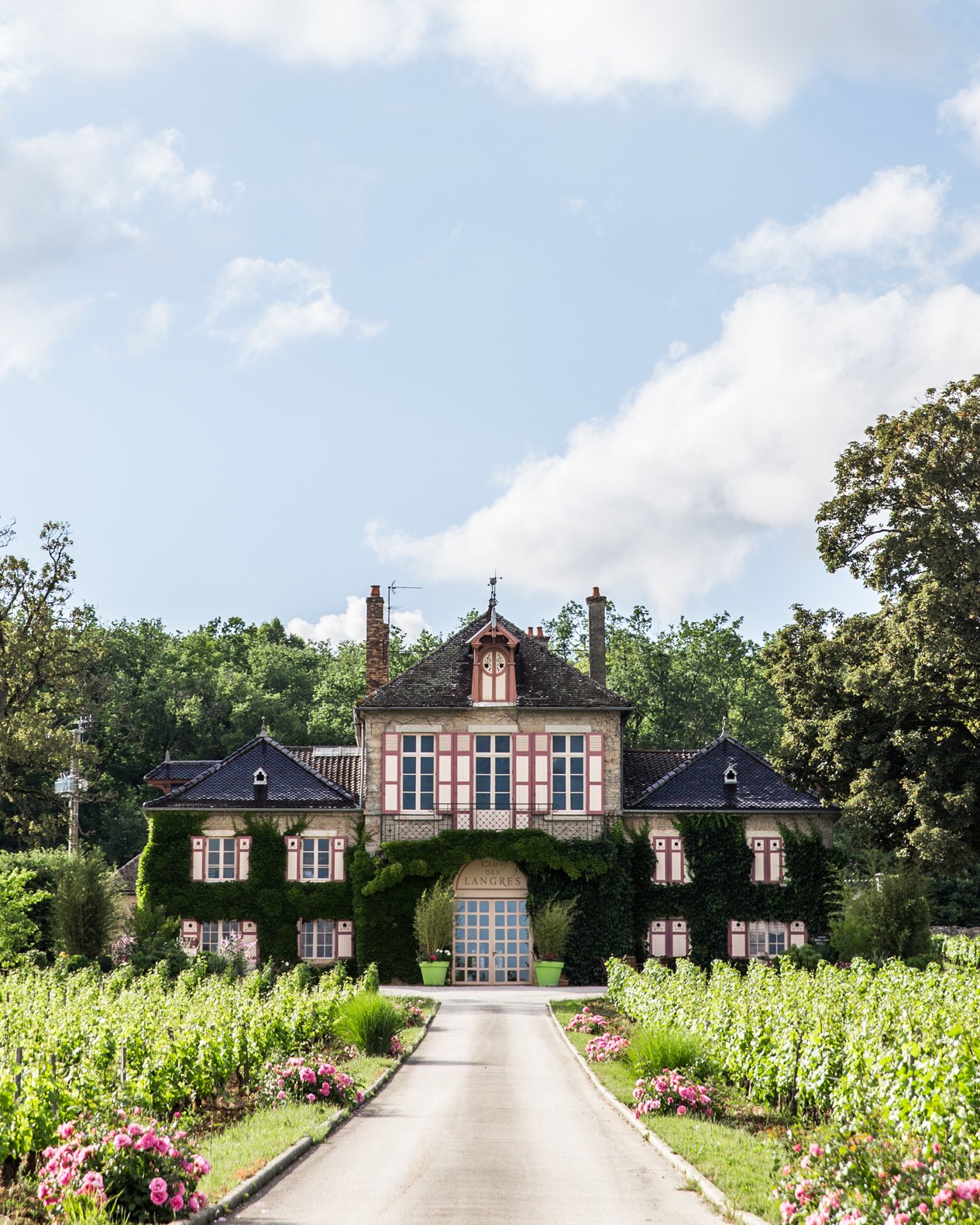 DOMAINE D&rsquo;ARDHUY