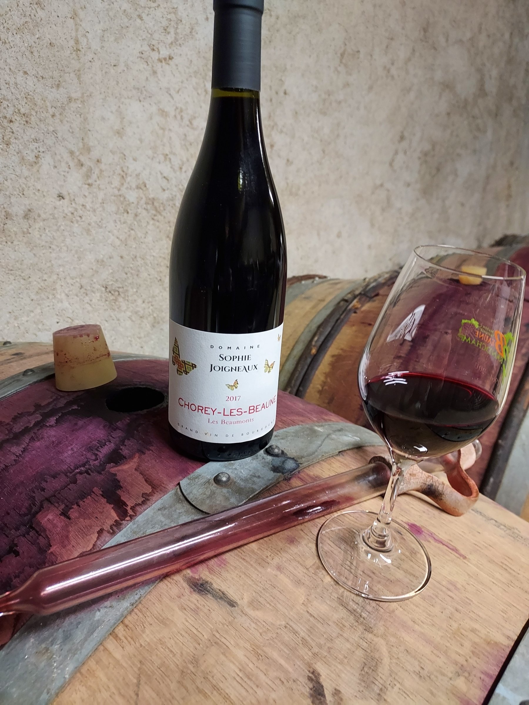 DOMAINE SOPHIE JOIGNEAUX