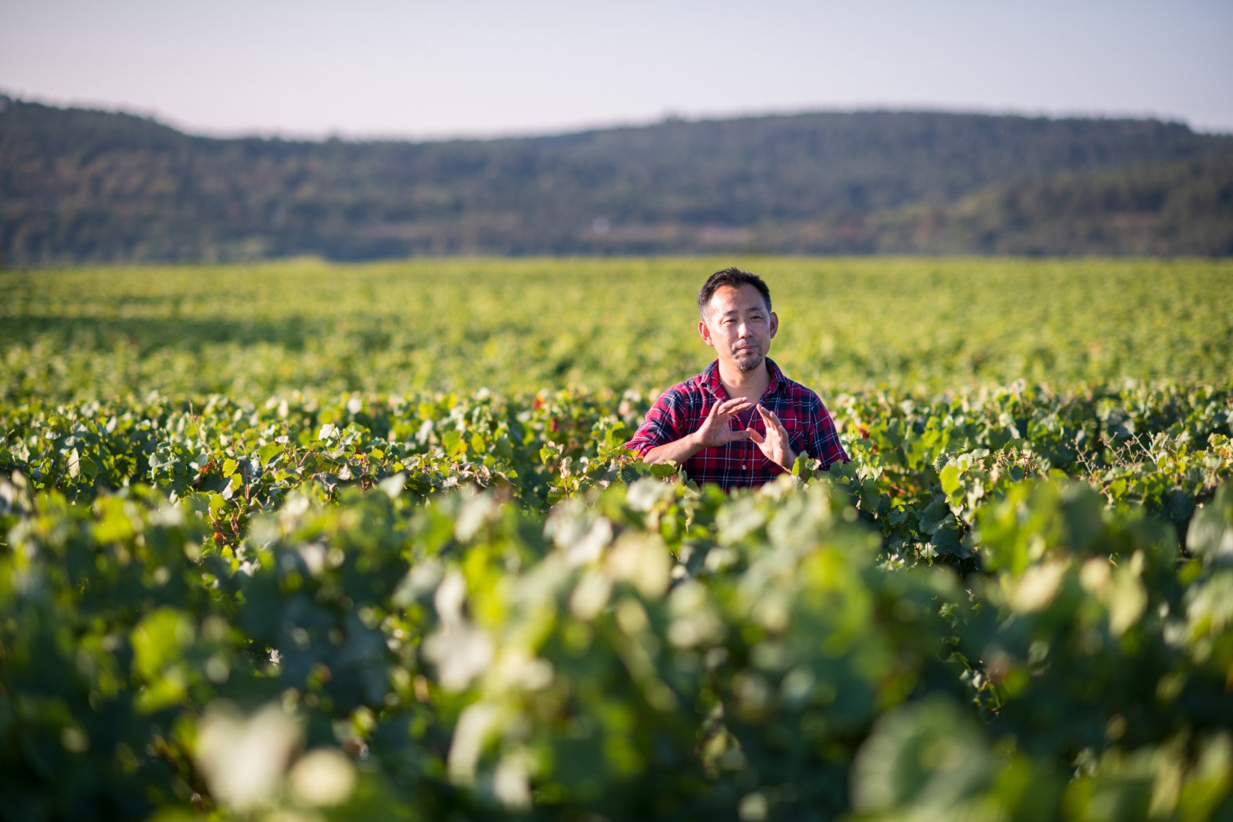 DOMAINE DU PETIT ROY
