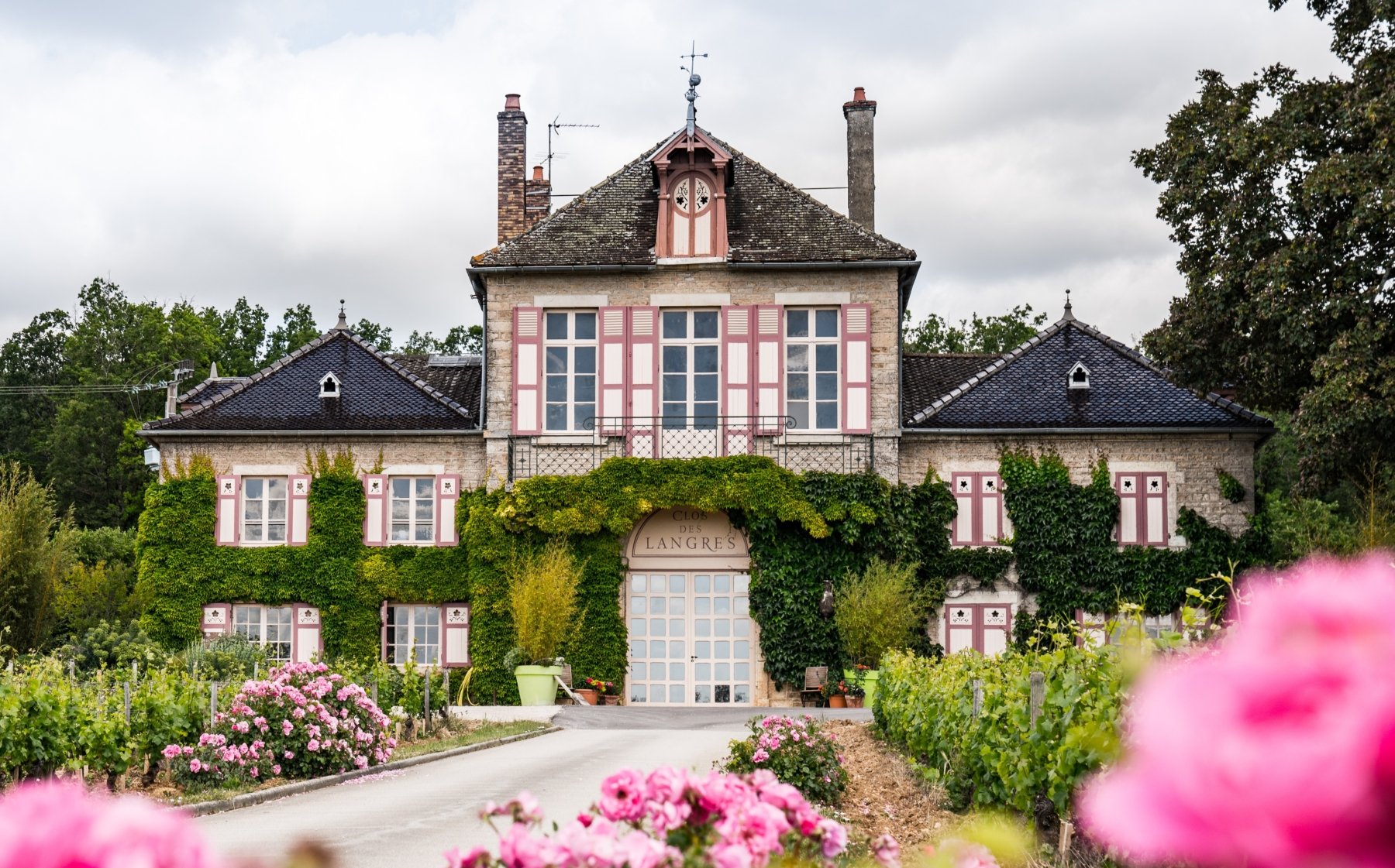 DOMAINE D&rsquo;ARDHUY