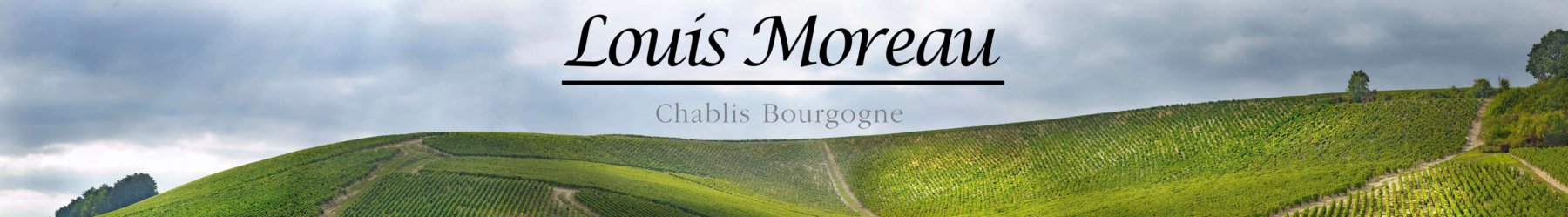 DOMAINE LOUIS MOREAU