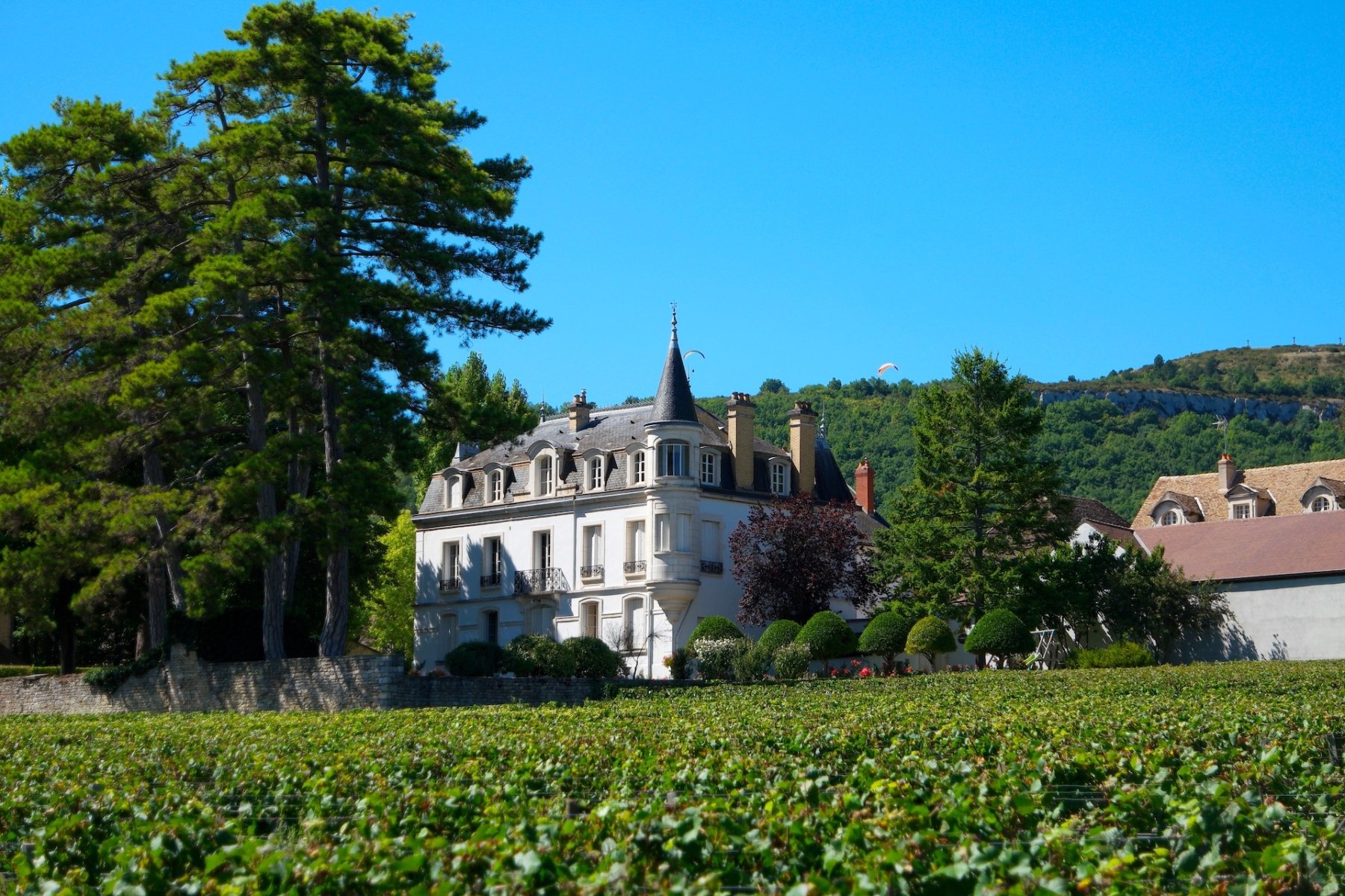 DOMAINE CHAPELLE ET FILS