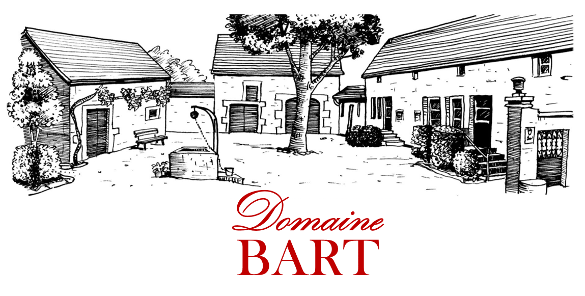 DOMAINE BART