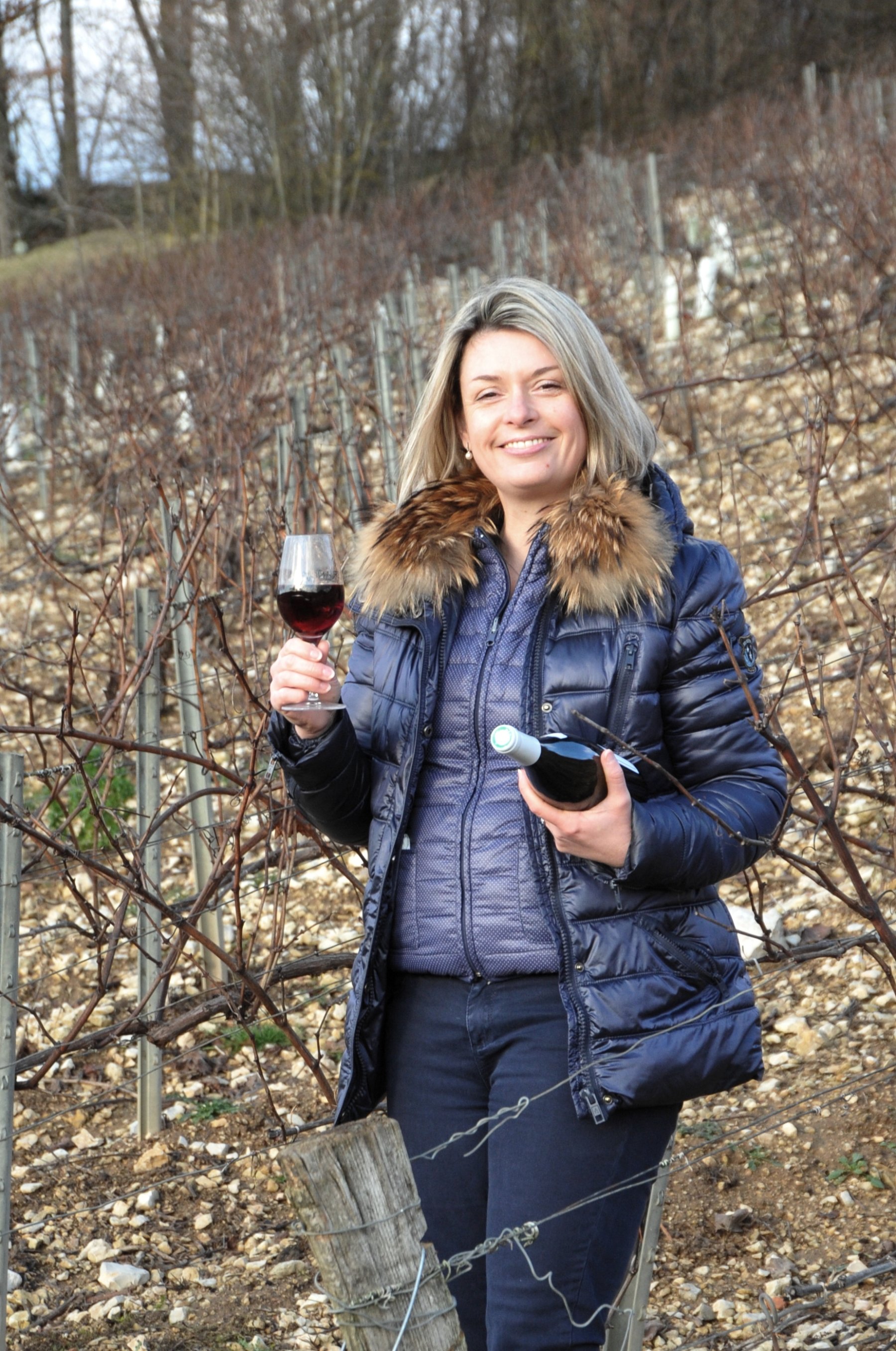 DOMAINE STEPHANIE COLINOT