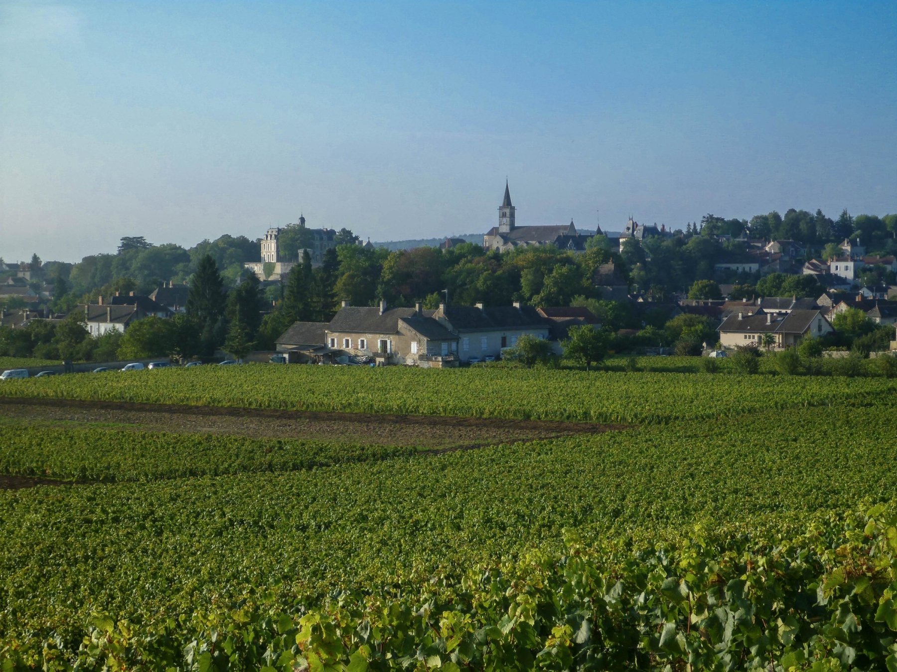 DOMAINE SAINT-JACQUES &#8211; CHRISTOPHE GRANDMOUGIN ET FILS