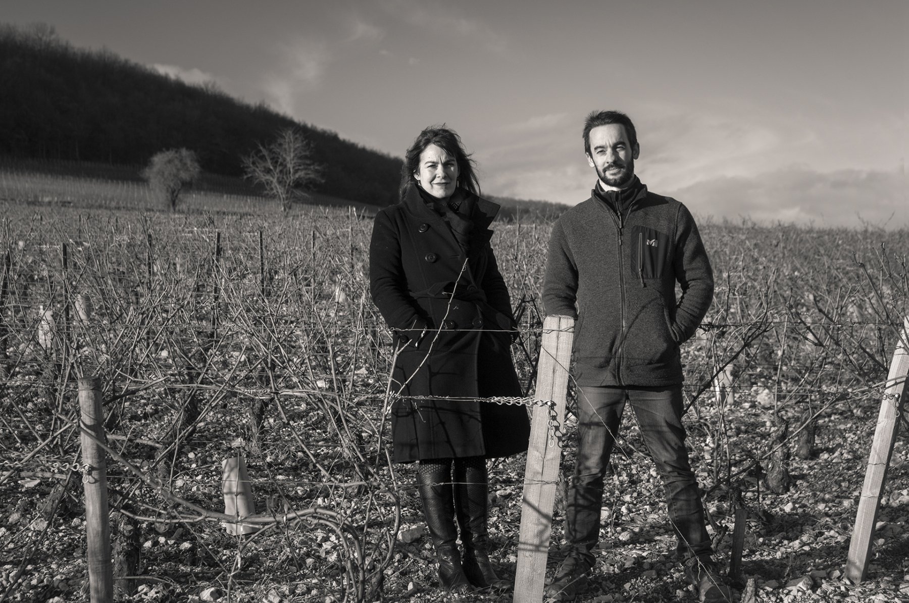 DOMAINE P ET M JACQUESON