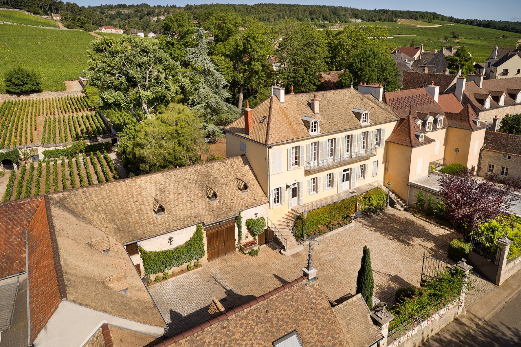 DOMAINE TAUPENOT-MERME