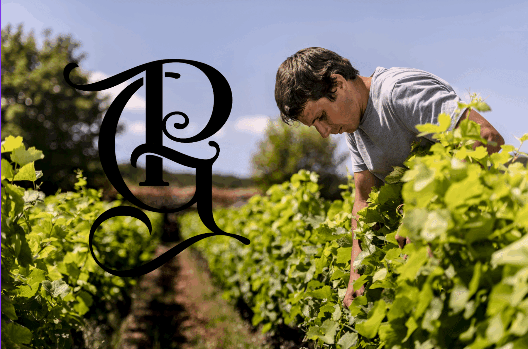 DOMAINE PIGUET GIRARDIN