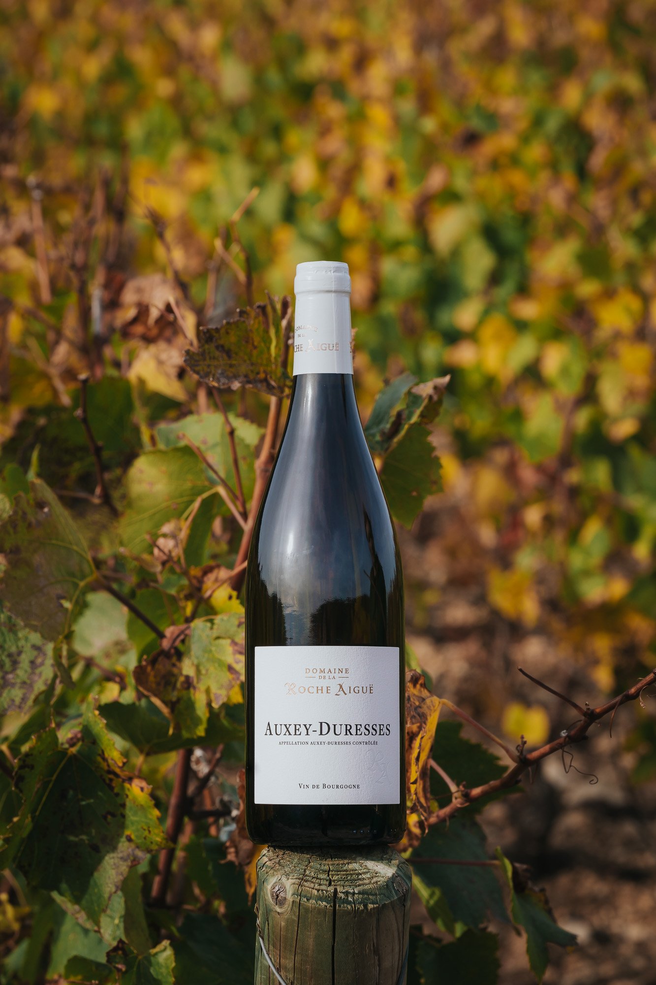 DOMAINE DE LA ROCHE AIGUË