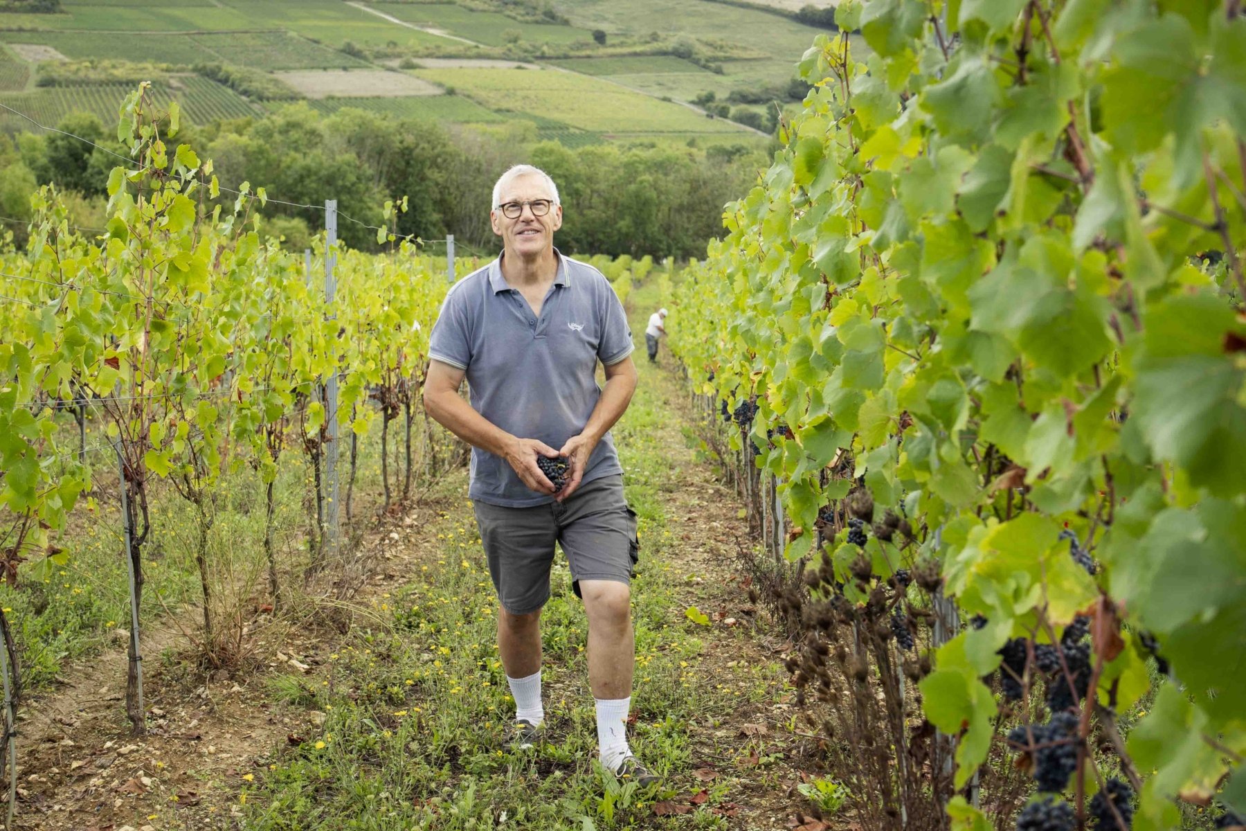 DOMAINE DE LA COZANNE