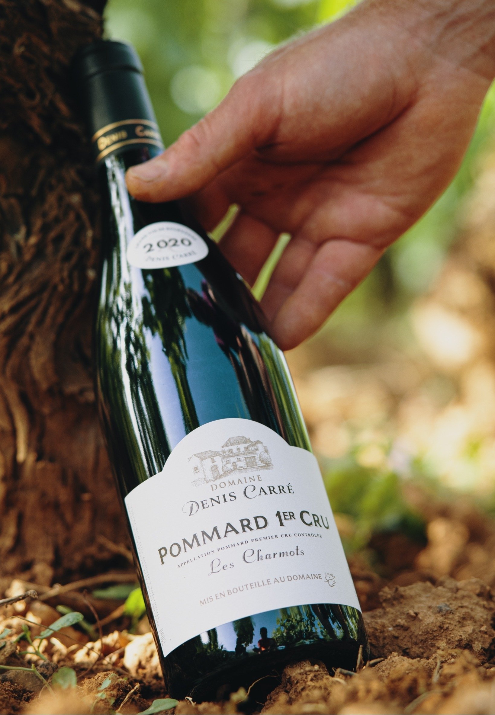 DOMAINE DENIS CARRÉ