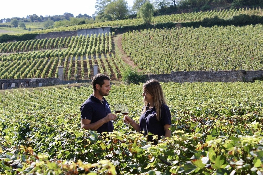 DOMAINE MICHEL ARCELAIN