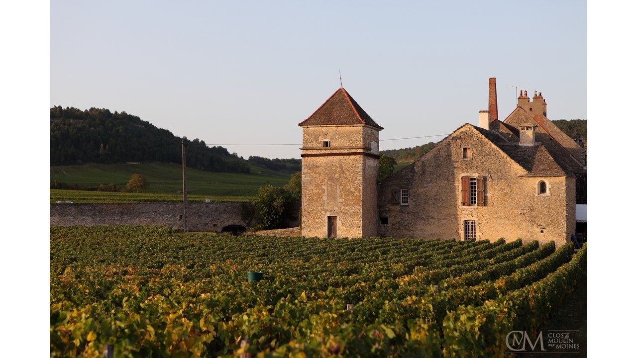 CLOS DU MOULIN AUX MOINES