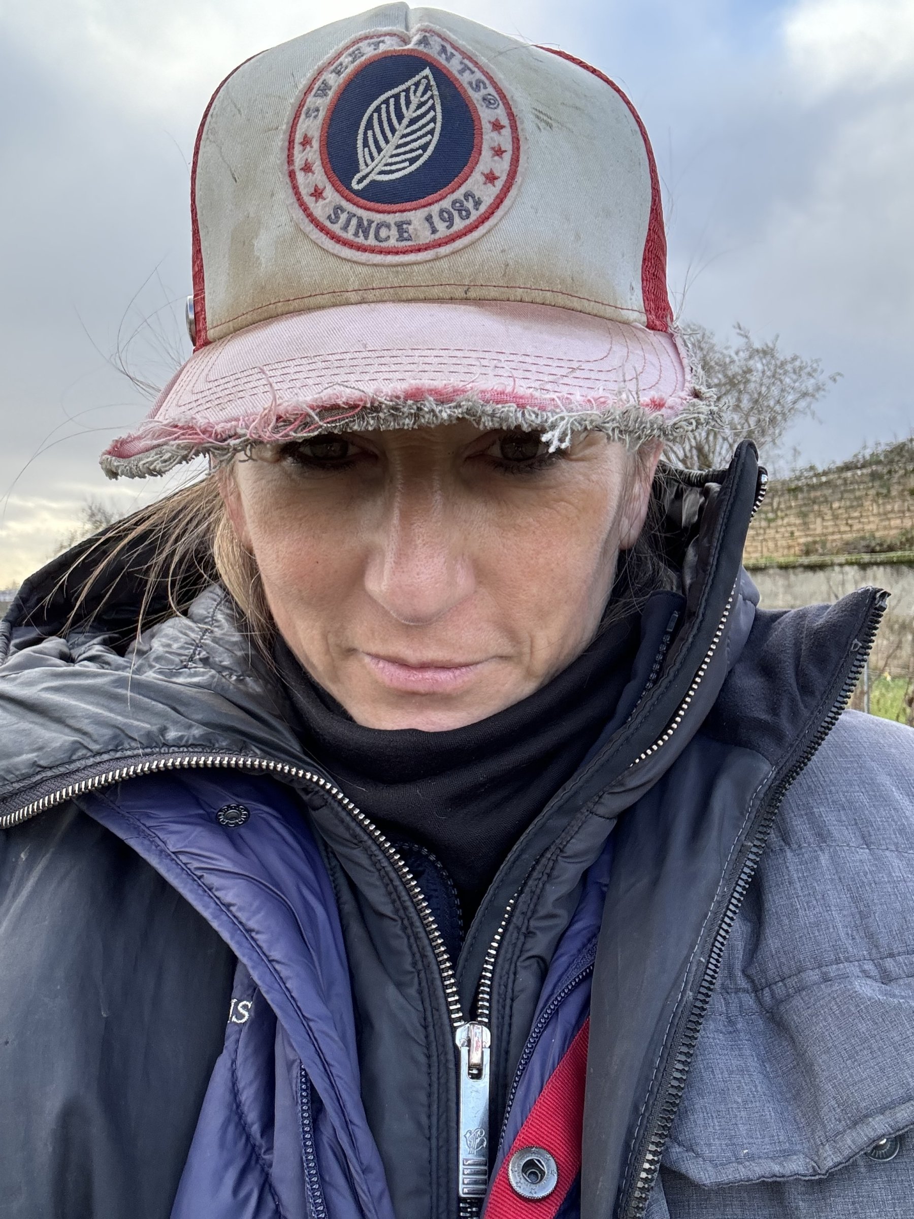 DOMAINE FRANÇOIS GAUNOUX