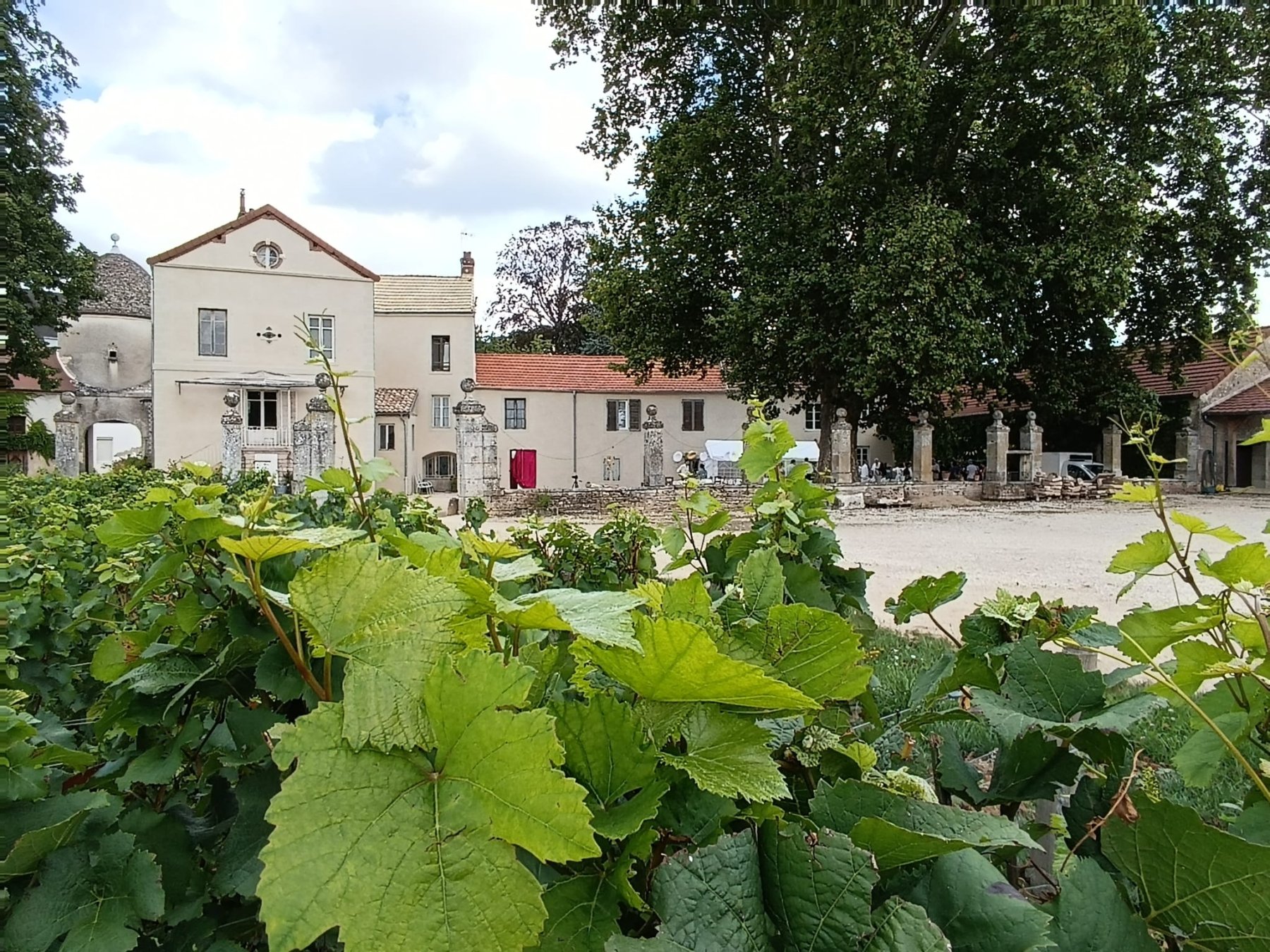 DOMAINE BESSON