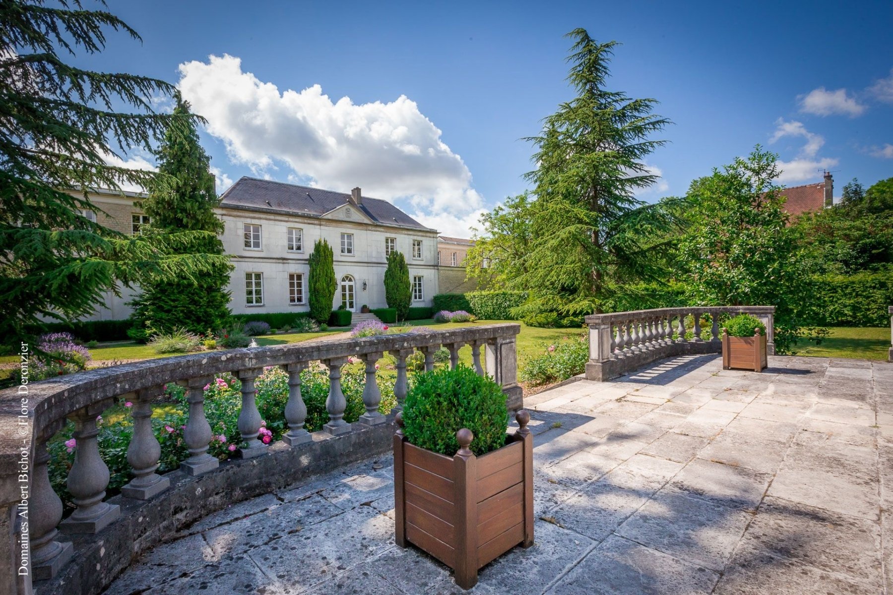 DOMAINES ALBERT BICHOT