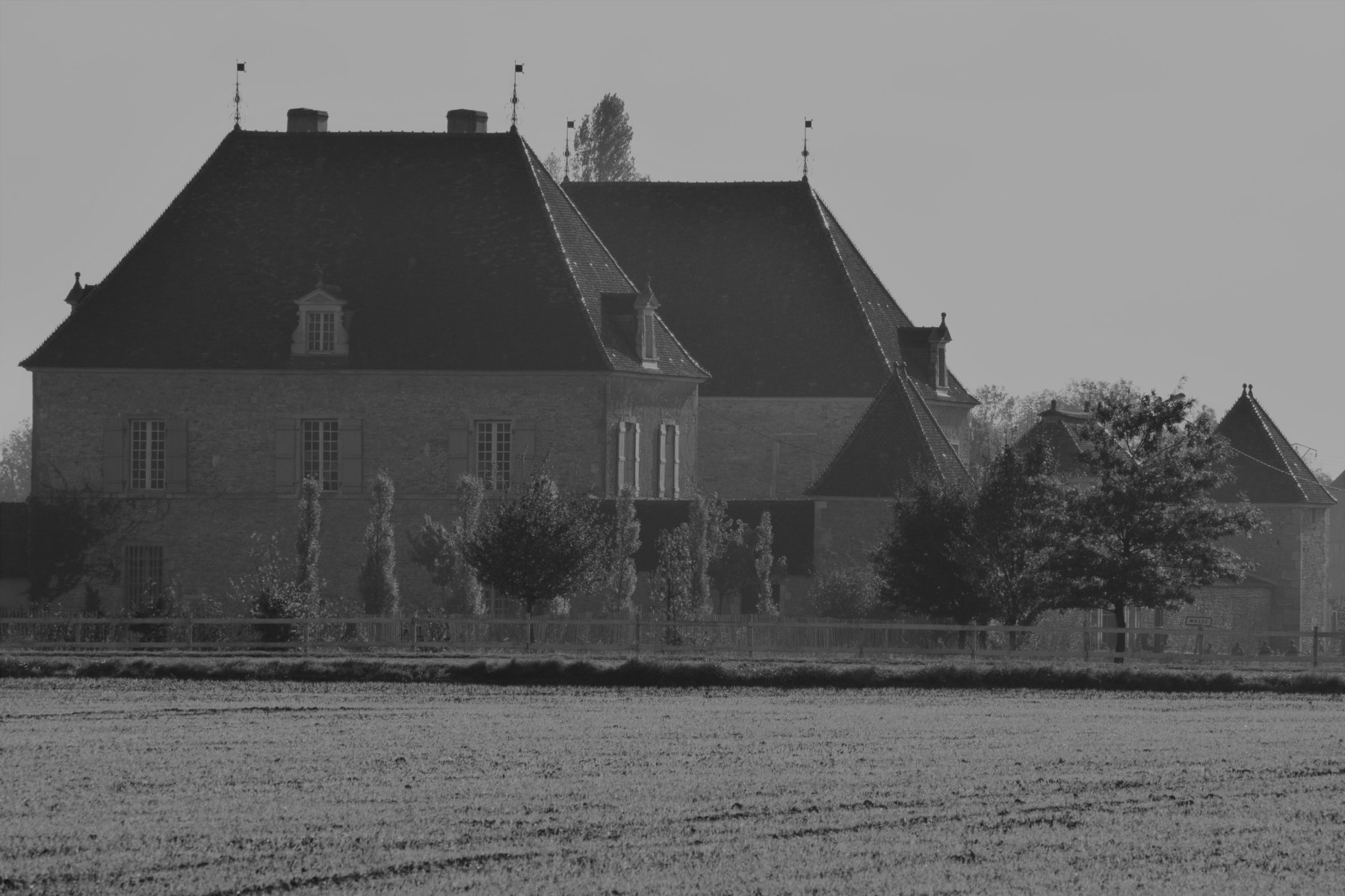 DOMAINE DU CHÂTEAU DE MASSE