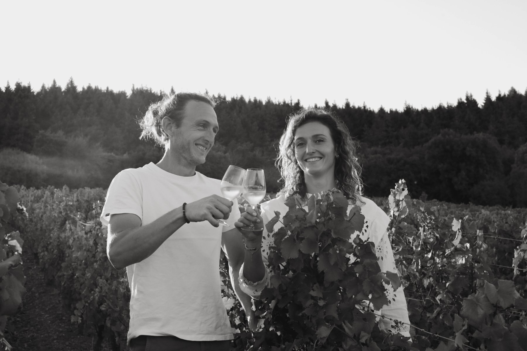 DOMAINE JACQUES SAUMAIZE