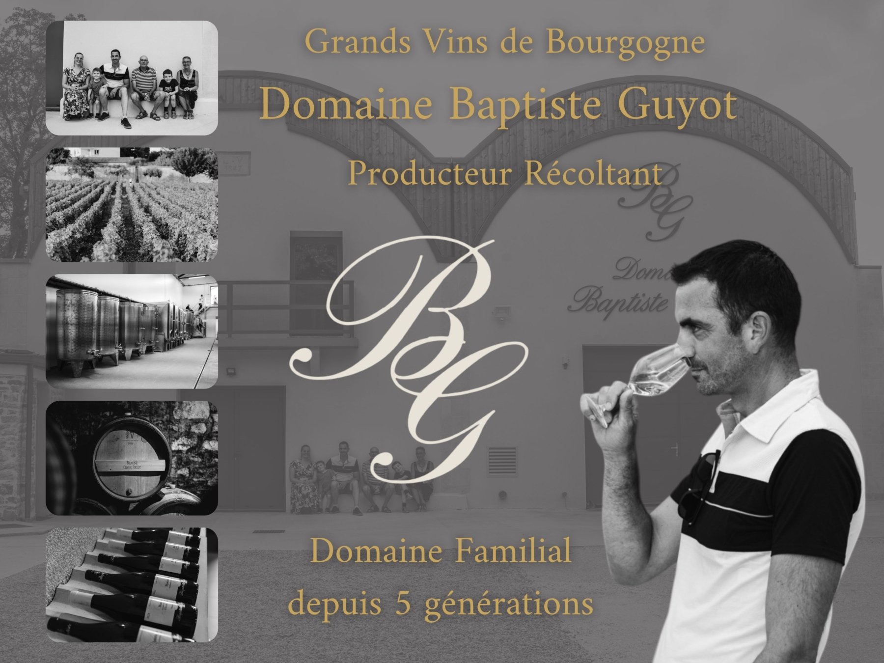 DOMAINE GUYOT
