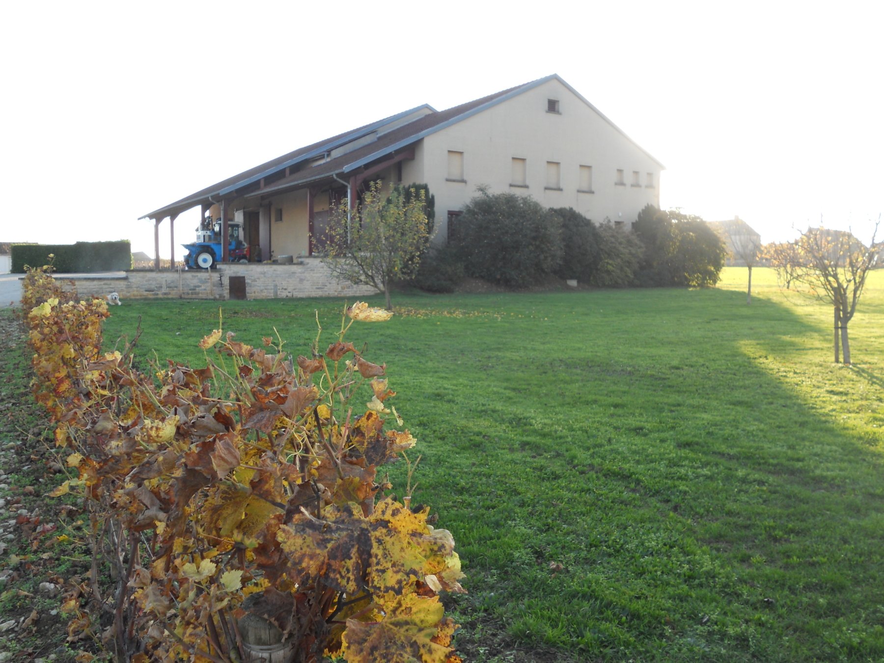 DOMAINE GAY FRANÇOIS ET FILS