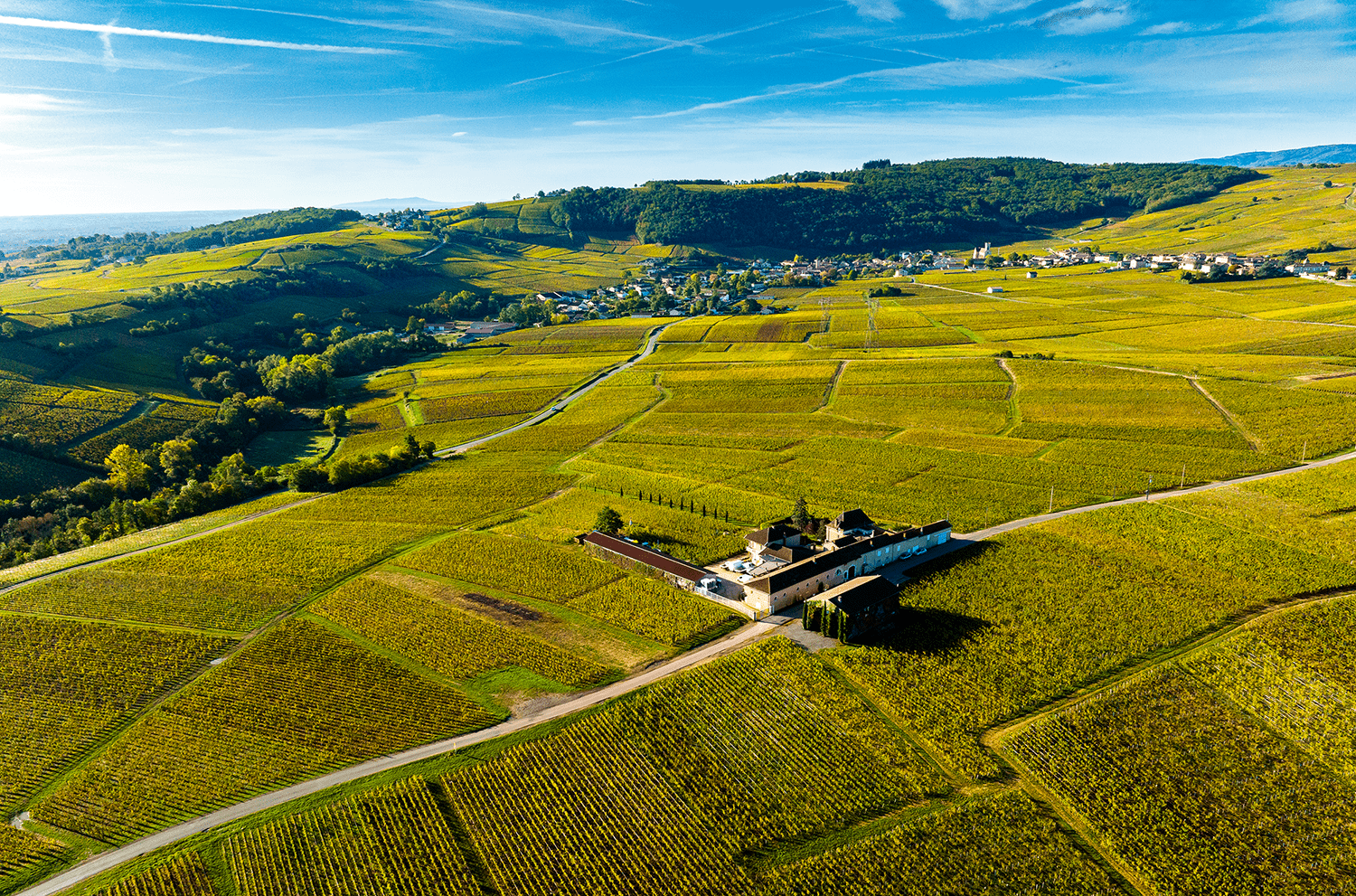MAISON JOSEPH BURRIER
