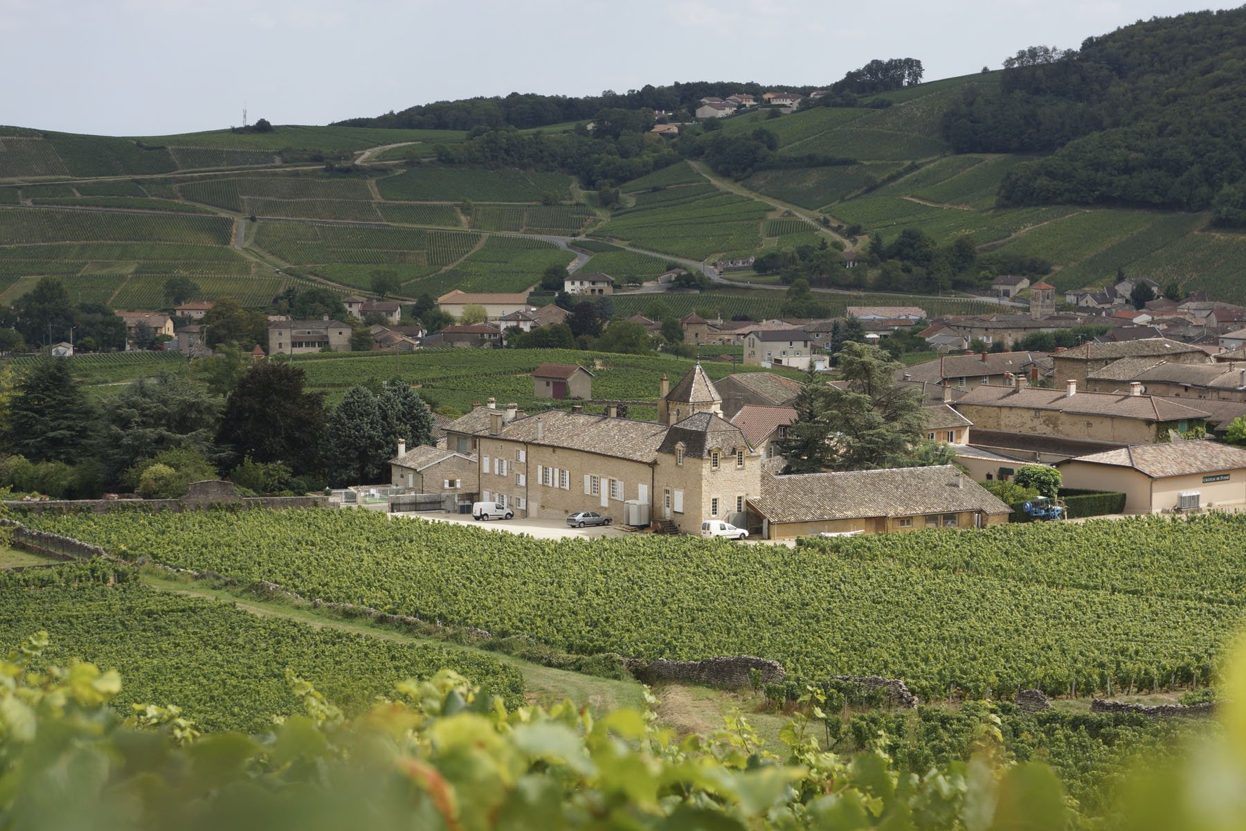 CHÂTEAU DE FUISSE – FAMILLE VINCENT
