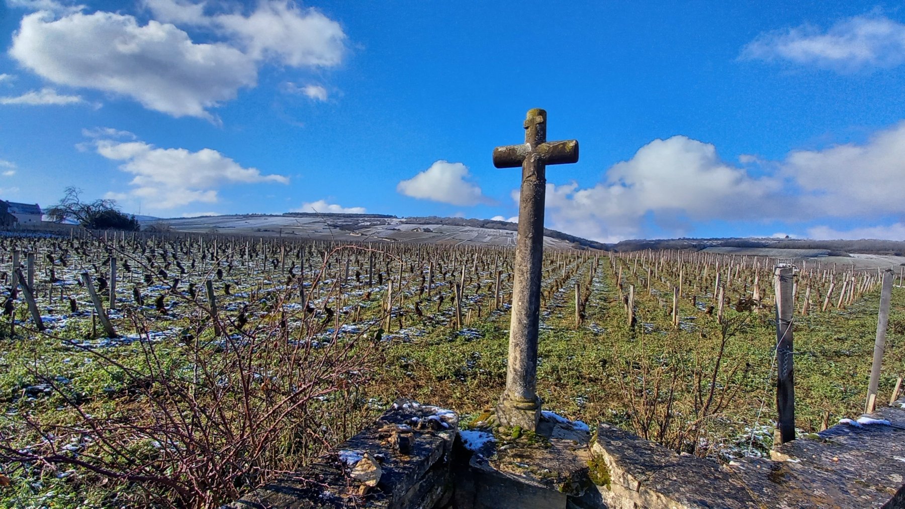 DOMAINE COUDRAY-BIZOT