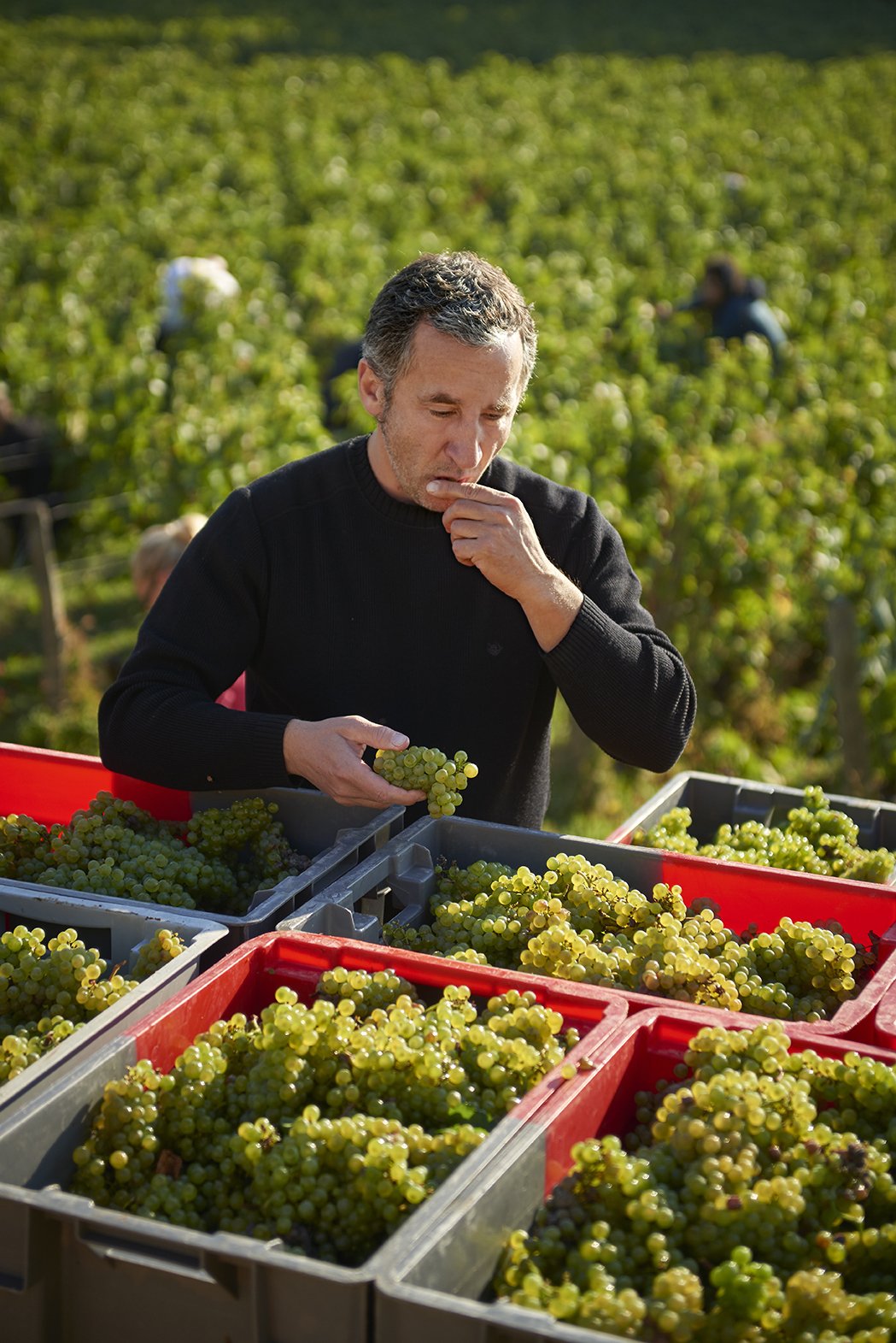 DOMAINE RENE BOUVIER
