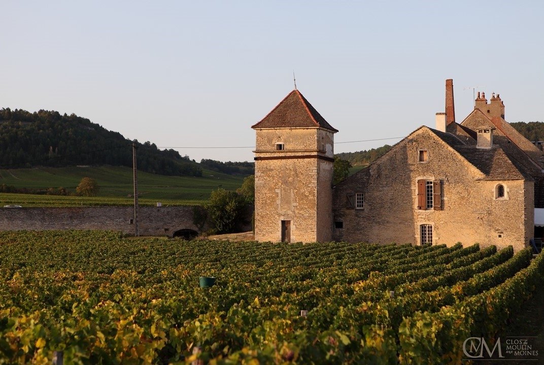 CLOS DU MOULIN AUX MOINES