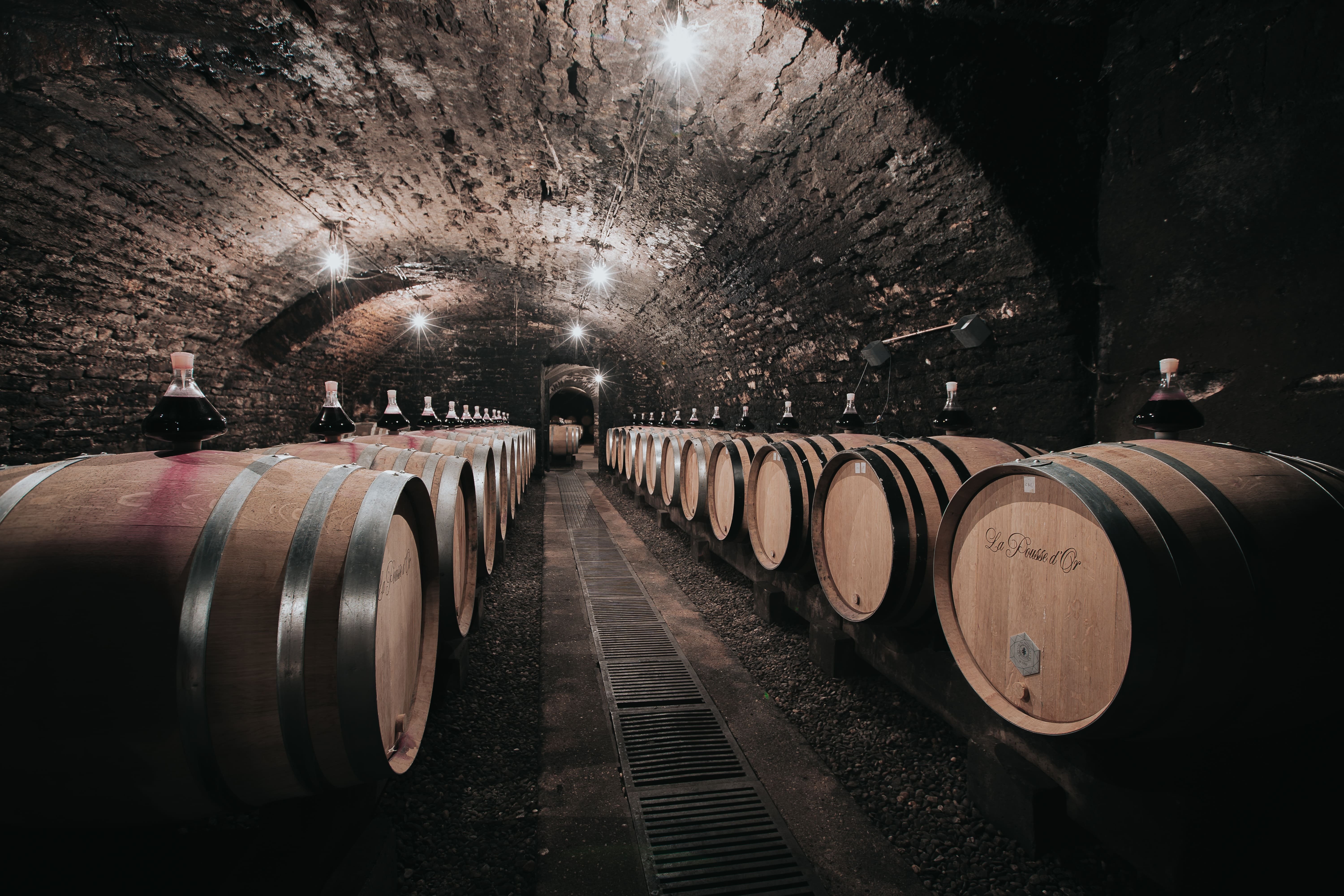 DOMAINE DE LA POUSSE D&rsquo;OR