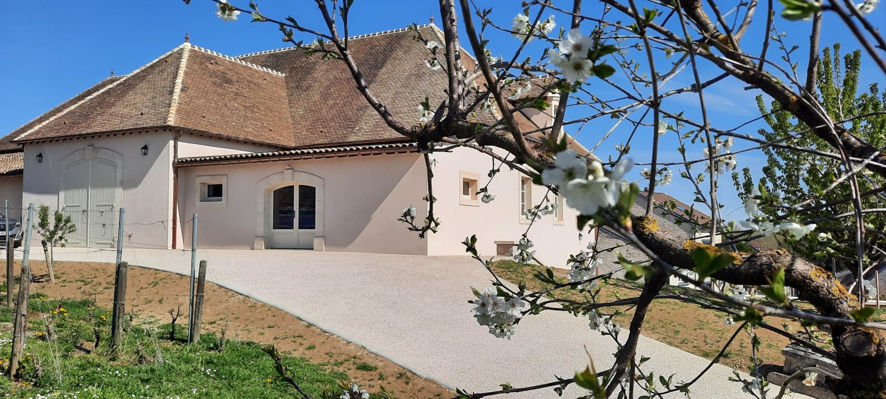 DOMAINE MICHÈLE ET PATRICE RION