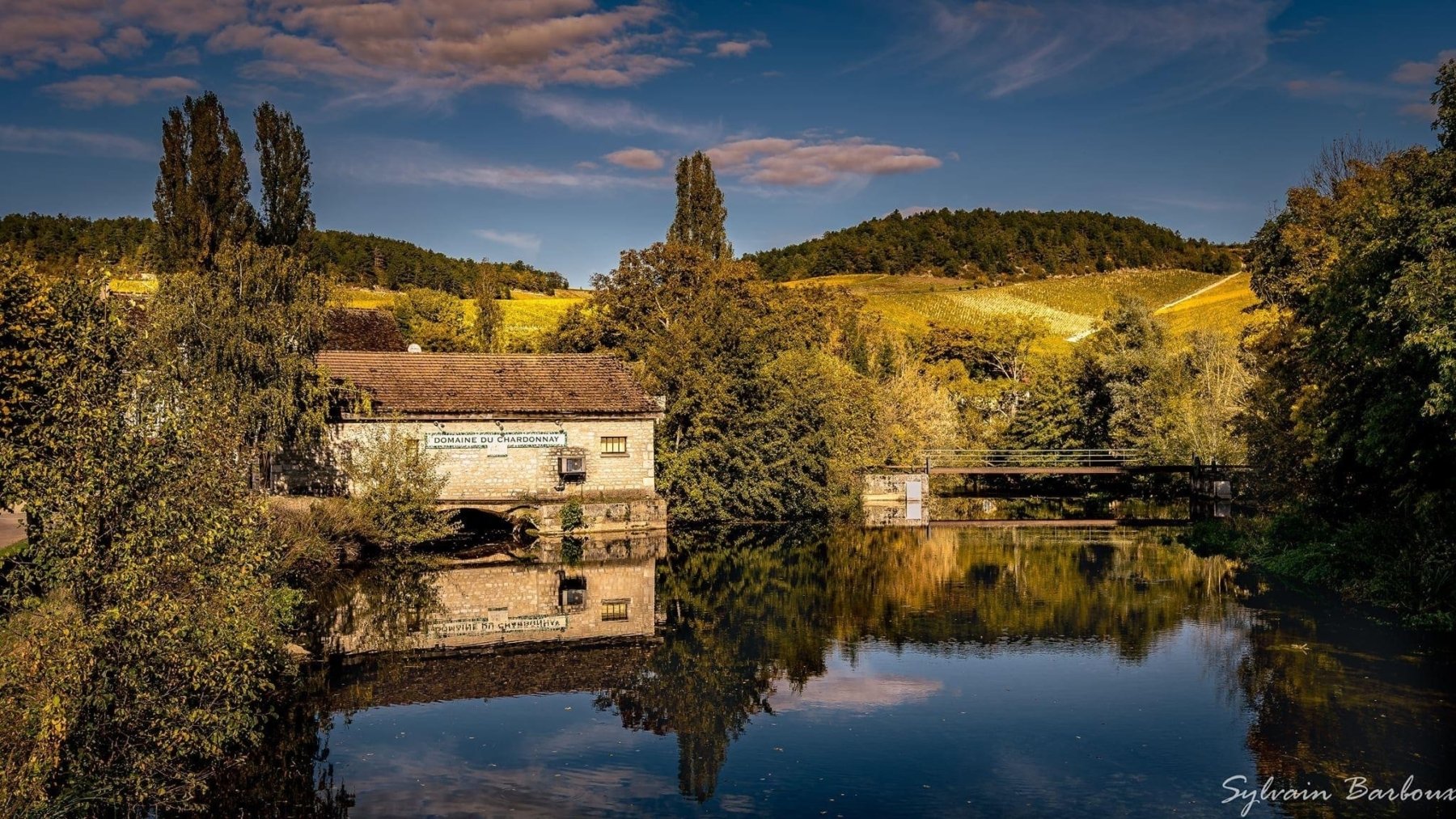 DOMAINE DU CHARDONNAY
