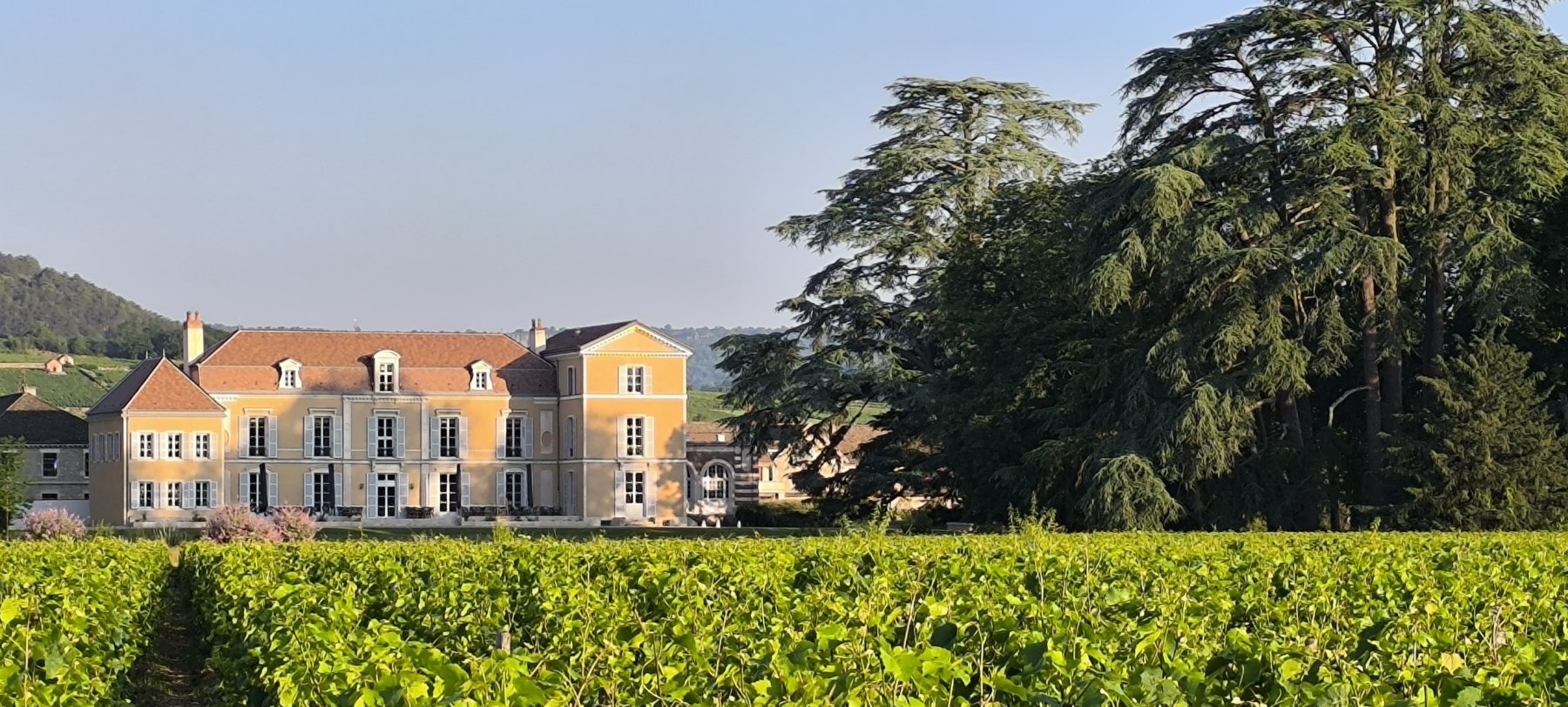 CHÂTEAU DE MEURSAULT