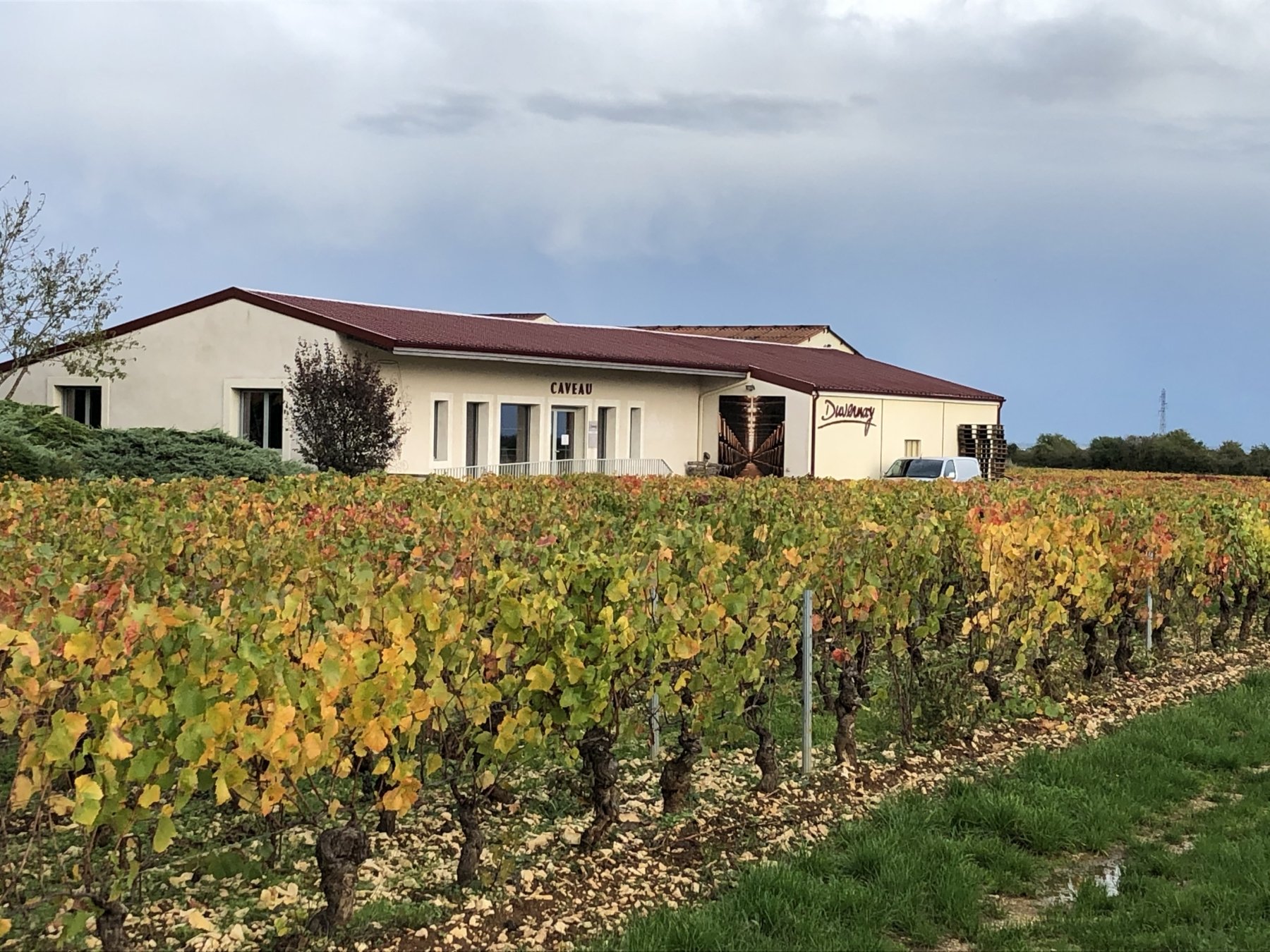 DOMAINE DUVERNAY P ET F