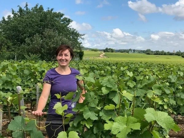 DOMAINE DU CLOS SAINT LOUIS