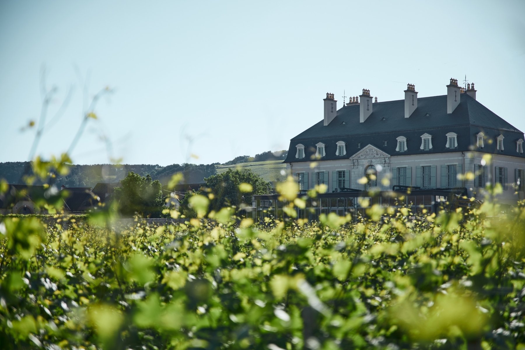 DOMAINE DU CHÂTEAU DE POMMARD
