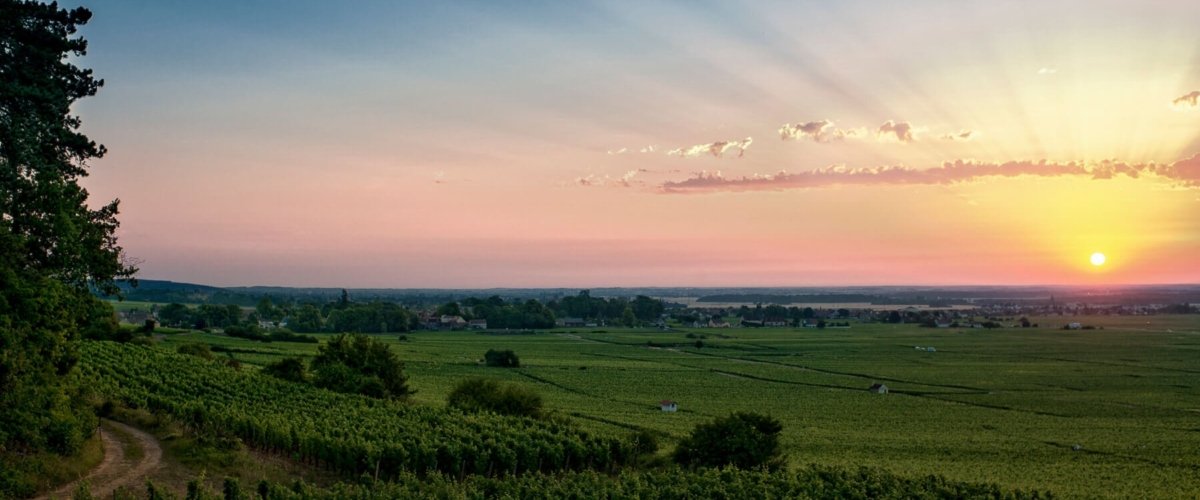 Côte de Nuits