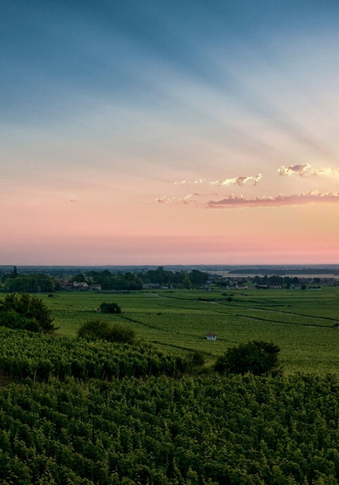 Côte de Nuits