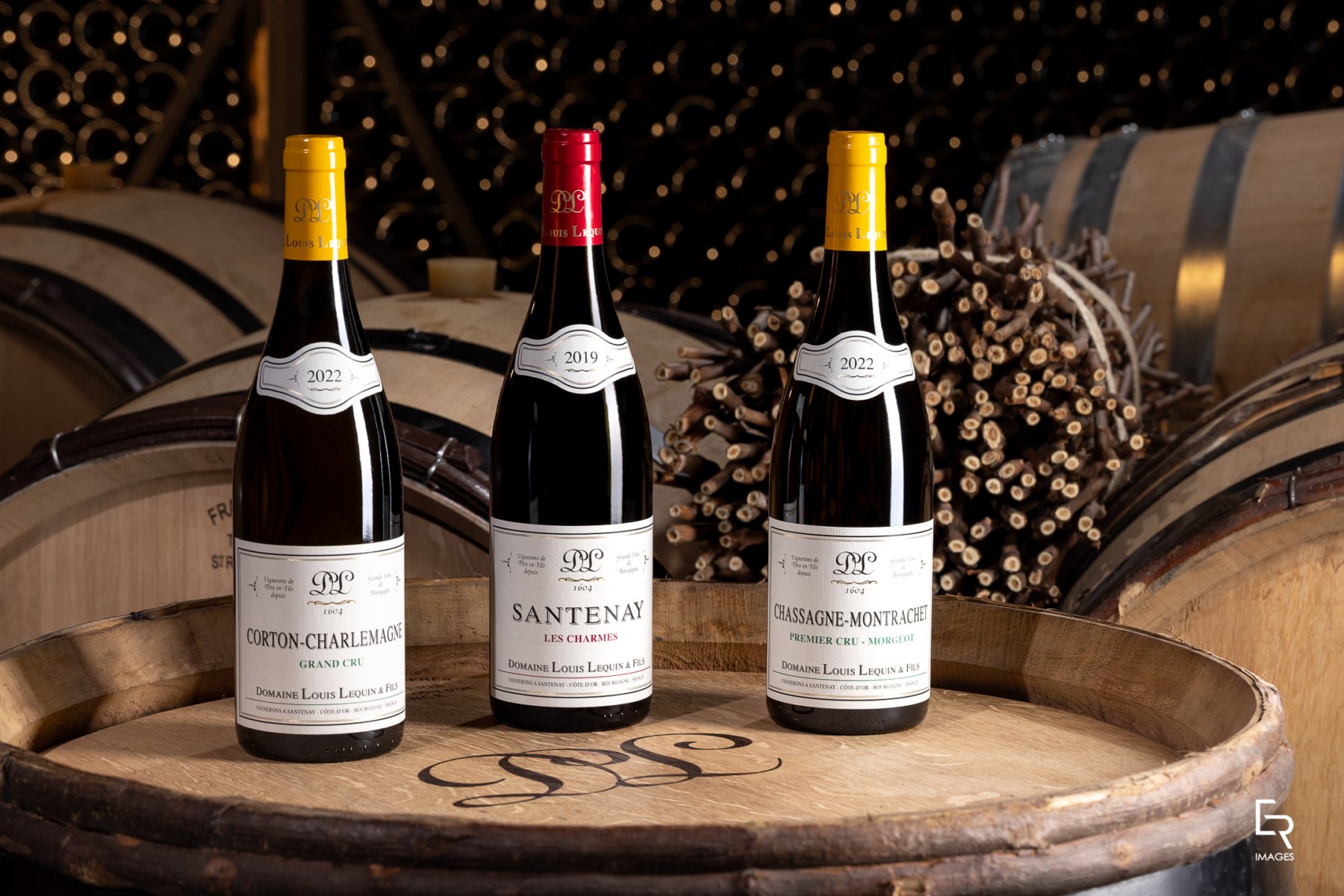 DOMAINE LOUIS LEQUIN ET FILS