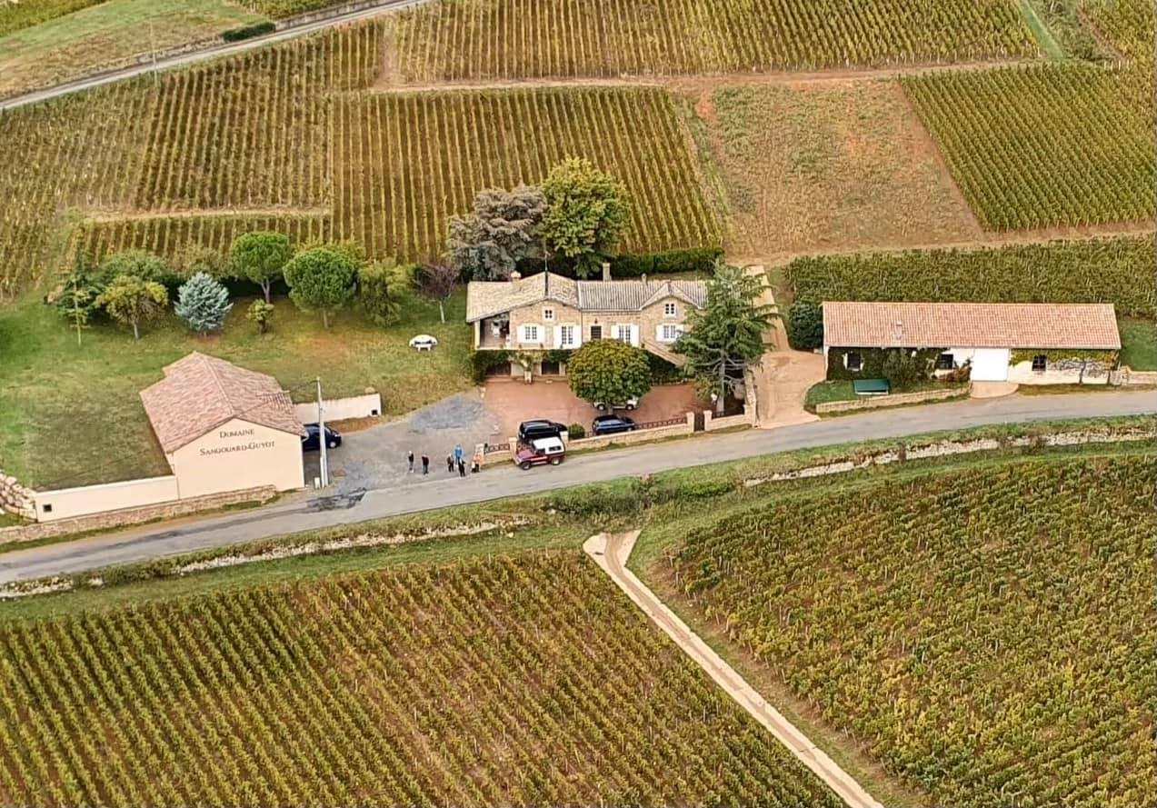 DOMAINE SANGOUARD-GUYOT