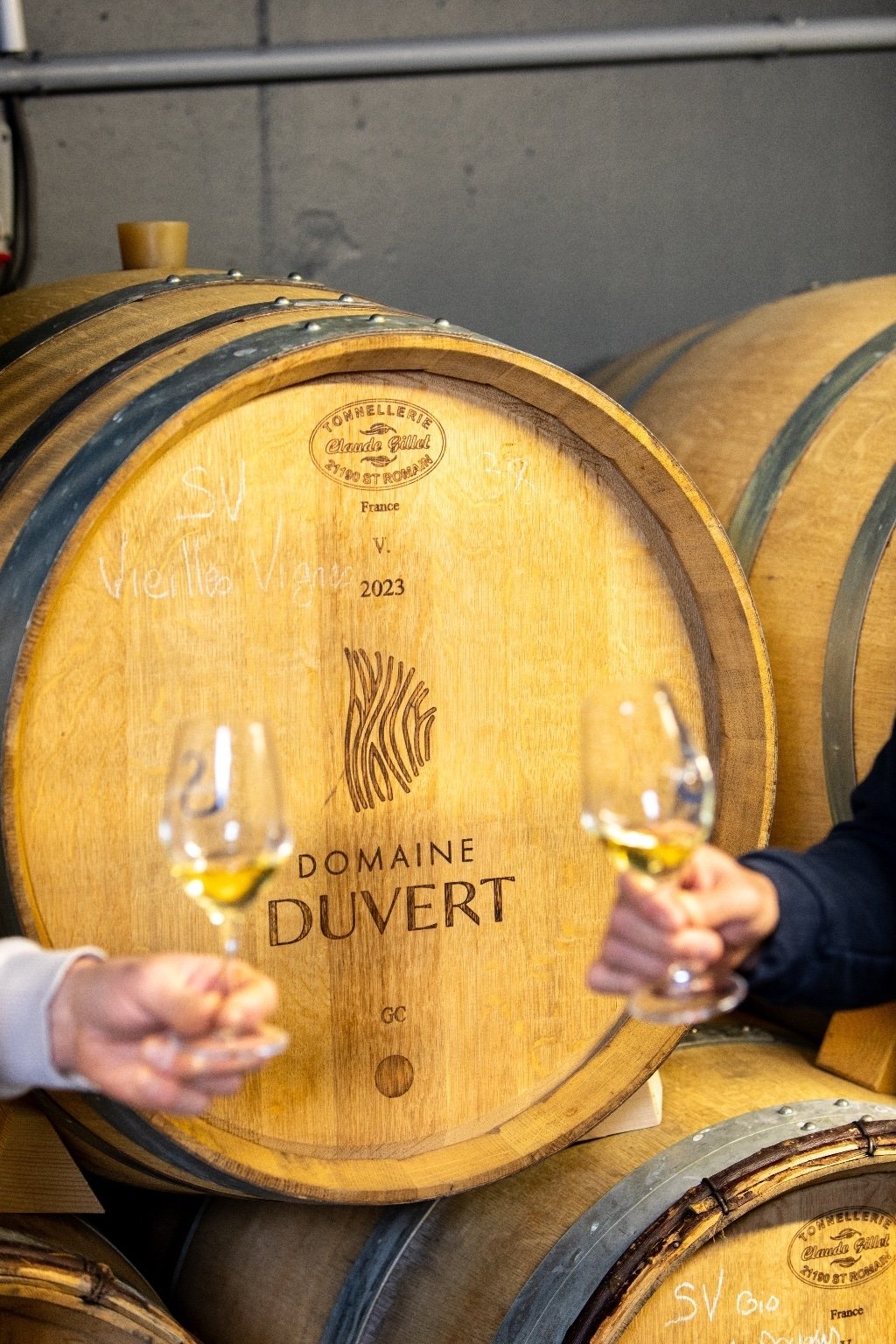 DOMAINE DUVERT