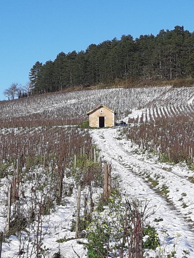 SAS HÉRITIERS ROBERT DE SUREMAIN