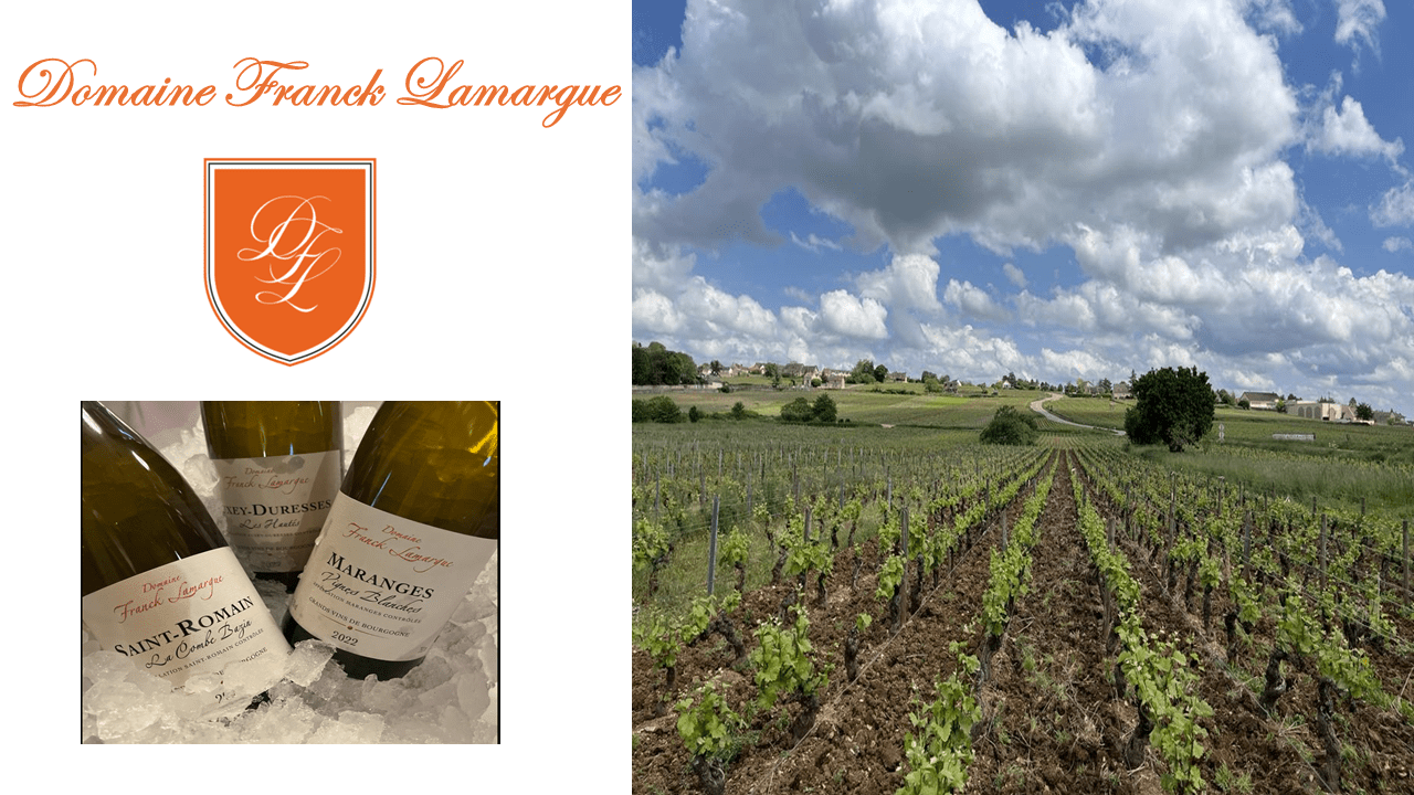 DOMAINE FRANCK LAMARGUE