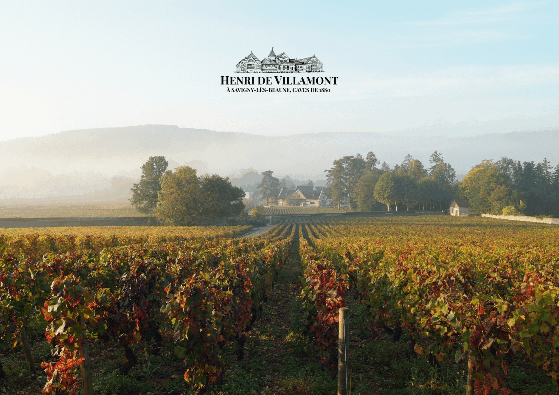 DOMAINE HENRI DE VILLAMONT